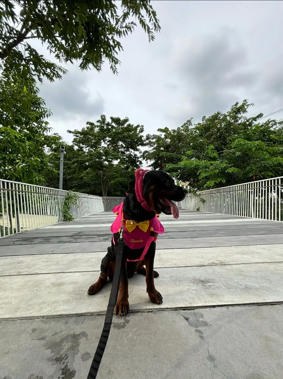 Mega Park other image 1