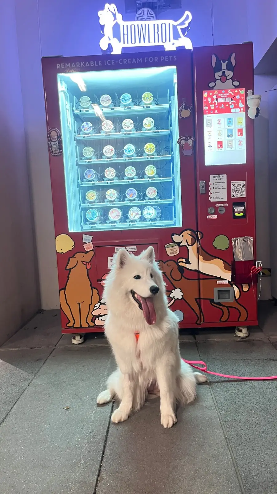 Mega Park pets image 5