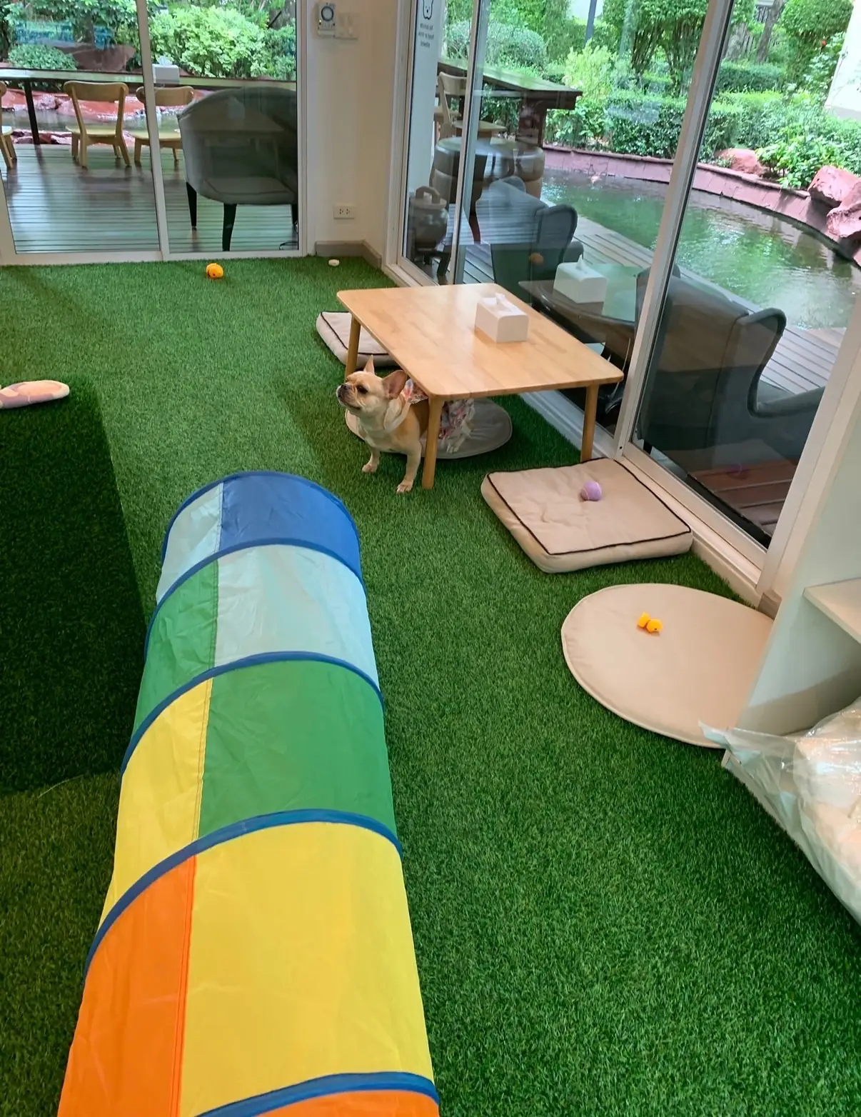 บ้านเจปัน Jaypun Home (HeyMyPaws) other image 4