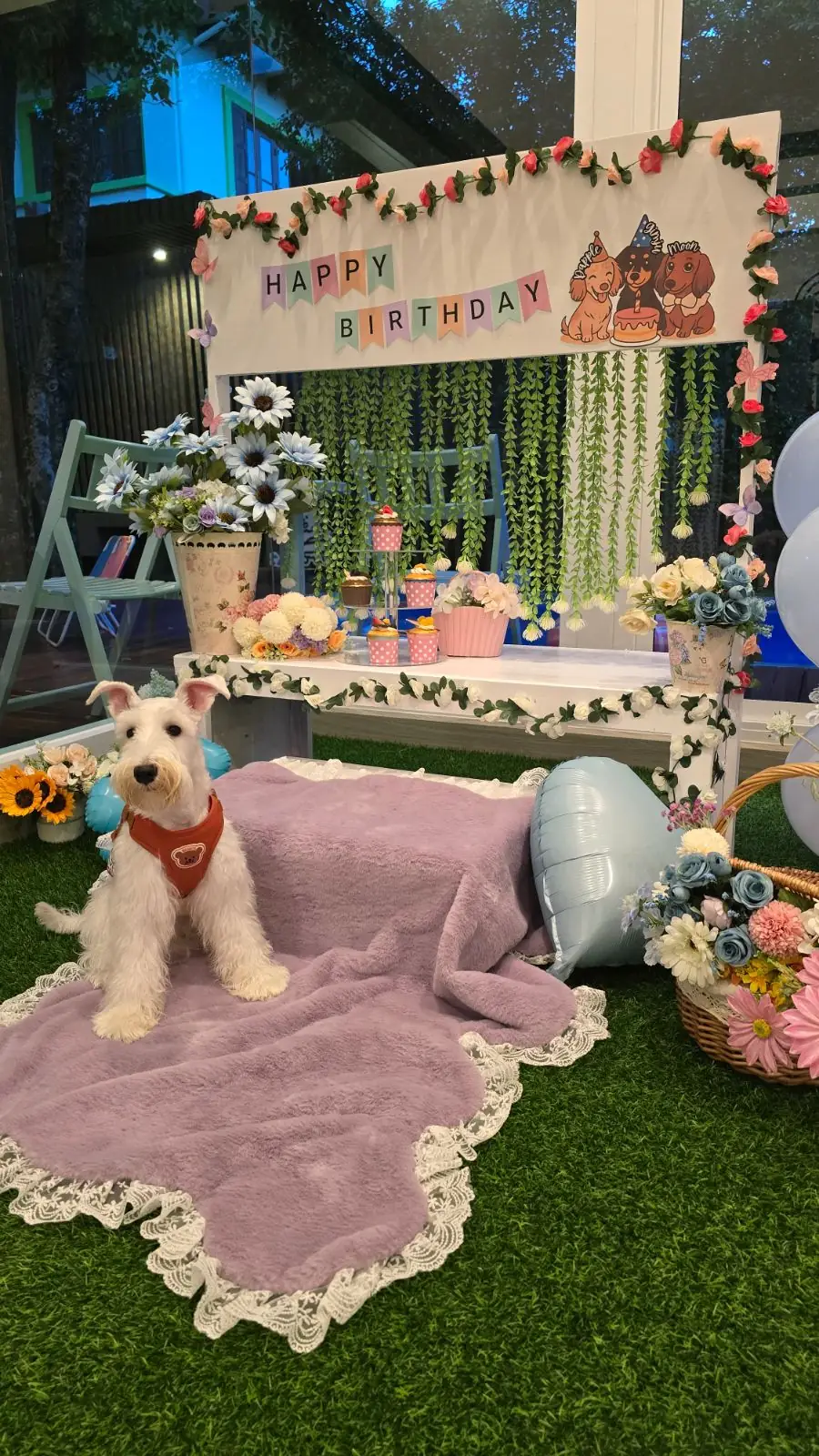 บ้านเจปัน Jaypun Home (HeyMyPaws) pets image 2