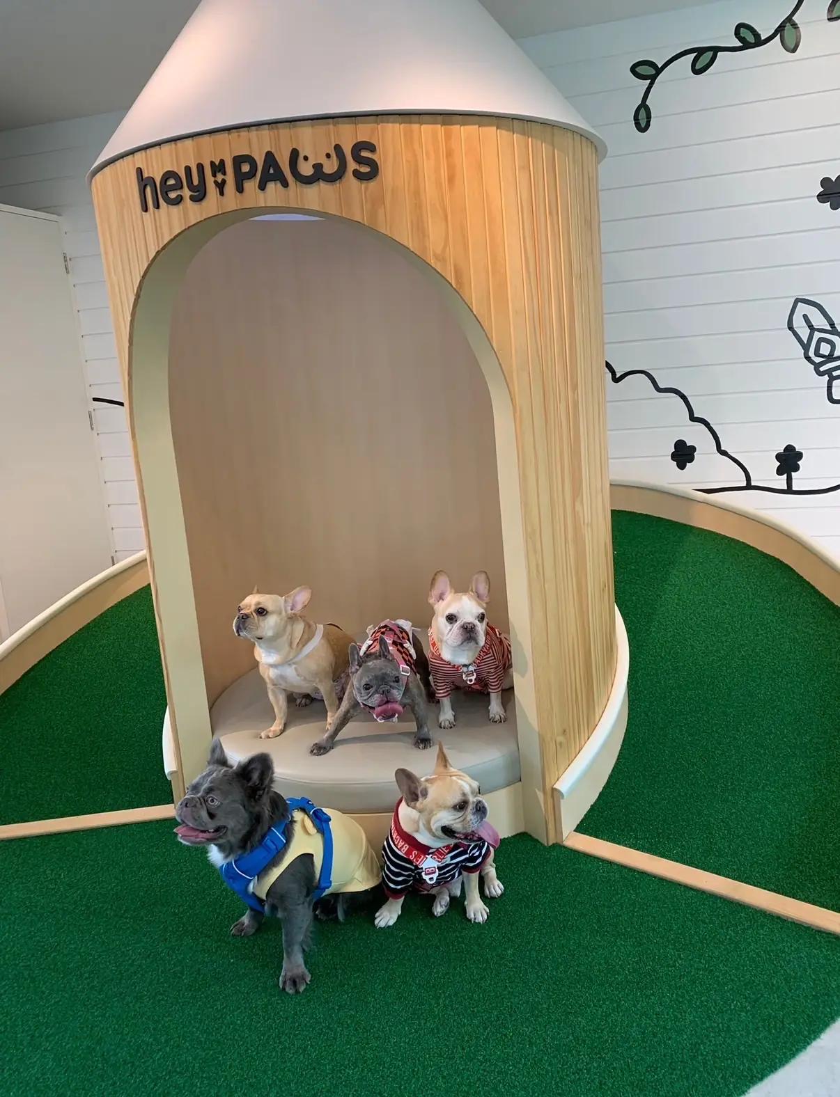 บ้านเจปัน Jaypun Home (HeyMyPaws) other image 2