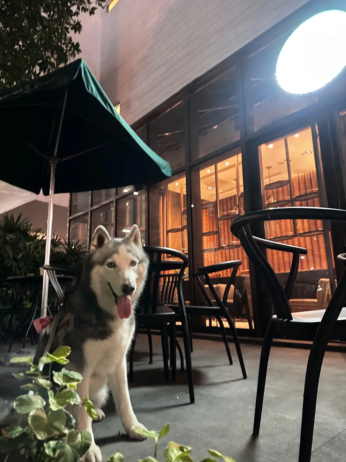 Starbucks Reserve - Mega Bangna overall image 2