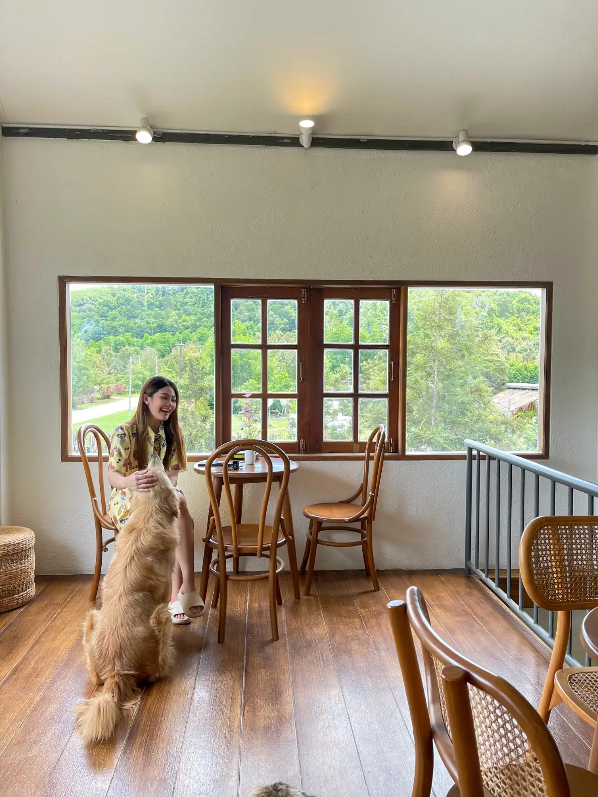 เติมเต็มคาเฟ่ pets image 6