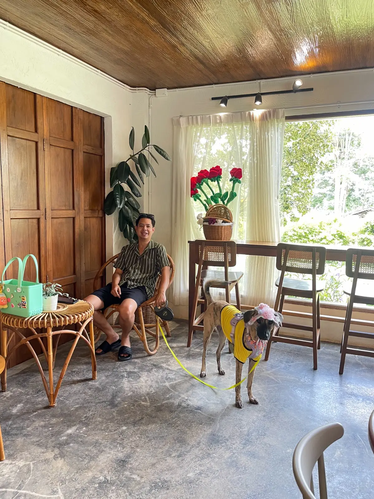 เติมเต็มคาเฟ่ pets image 4