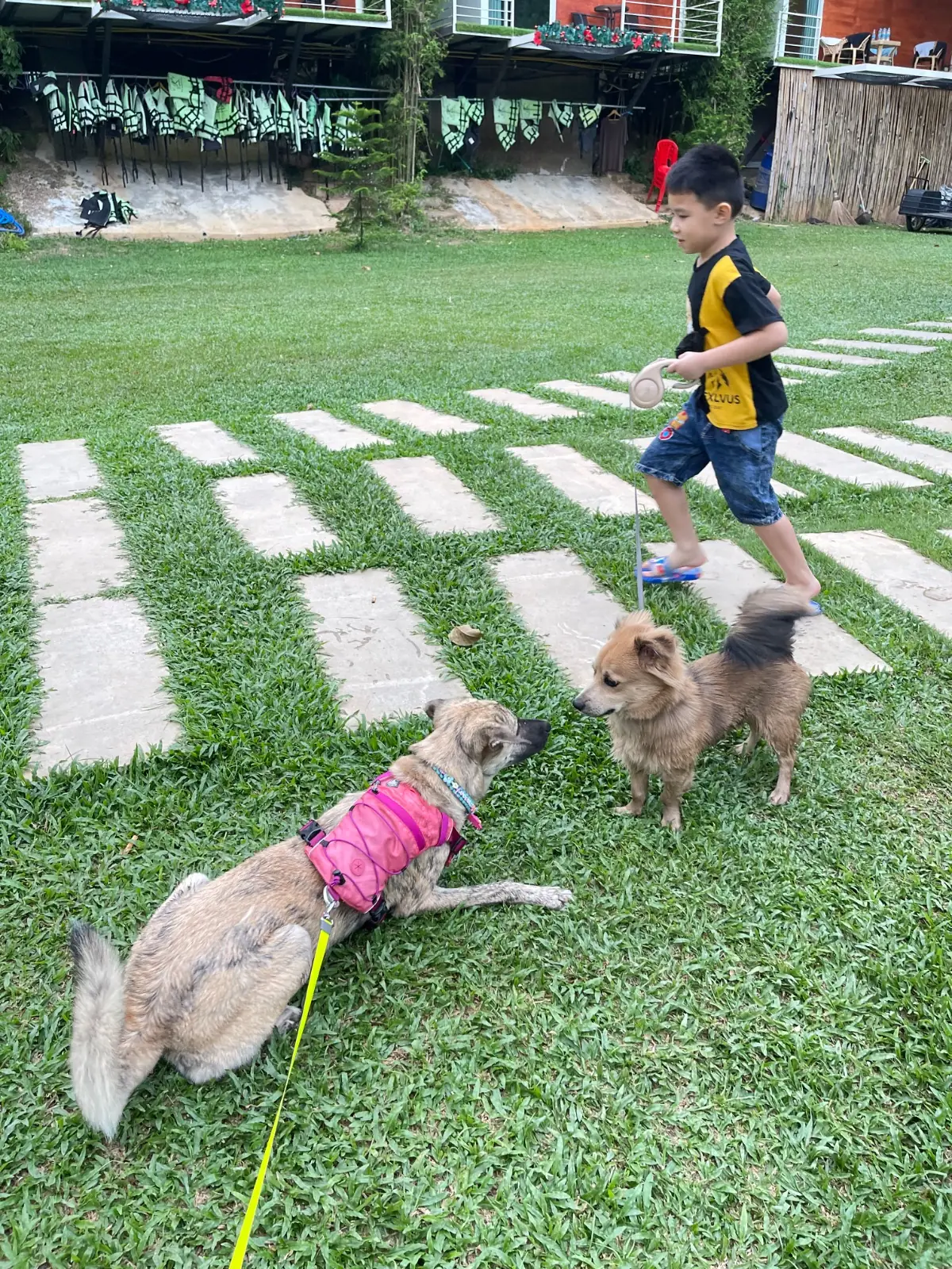 JK River Tales pets image 3