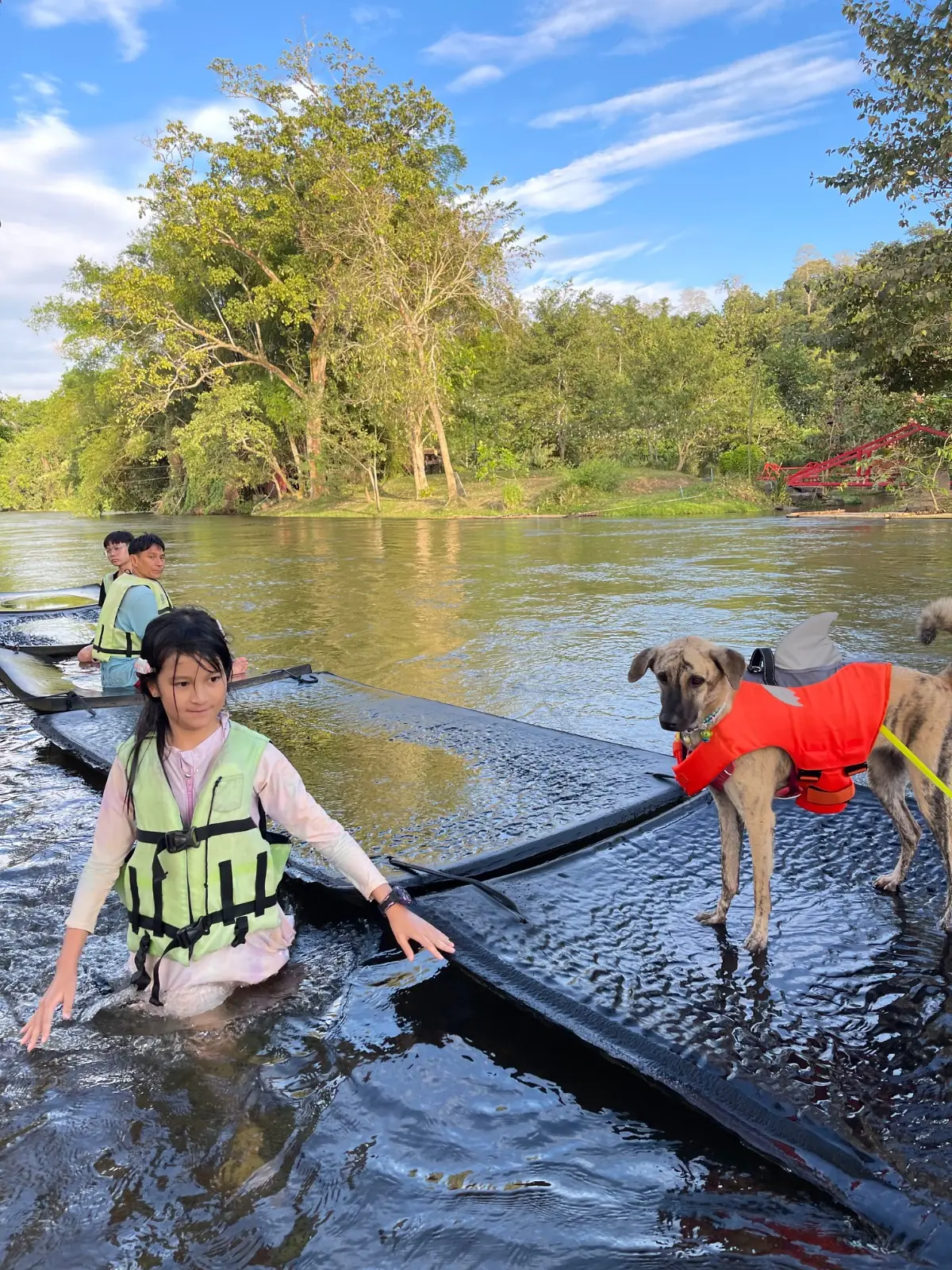 JK River Tales pets image 2