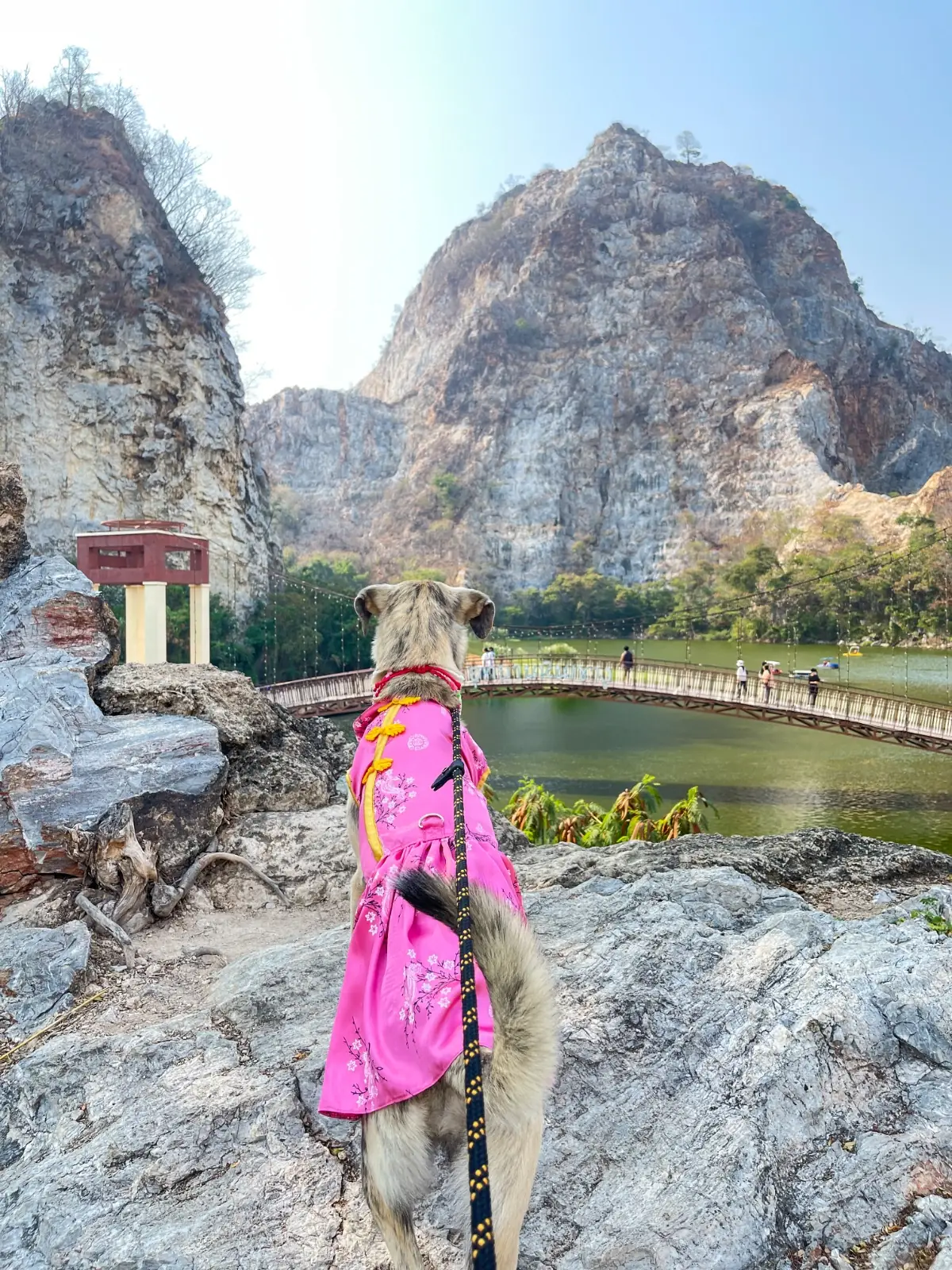 Phra Phuttha Chai Tham Ruesi Khao Ngu pets image 1