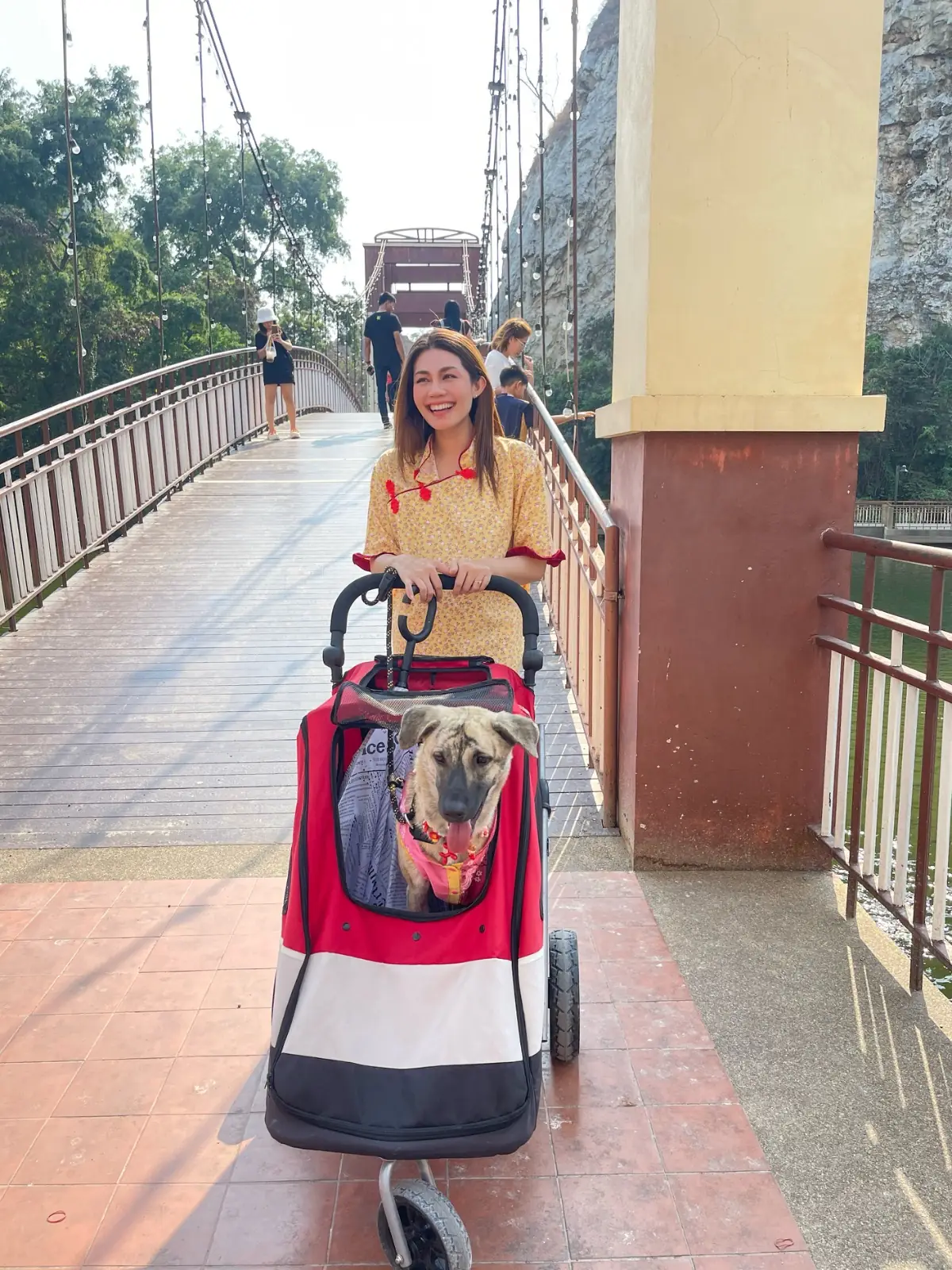 Phra Phuttha Chai Tham Ruesi Khao Ngu pets image 3