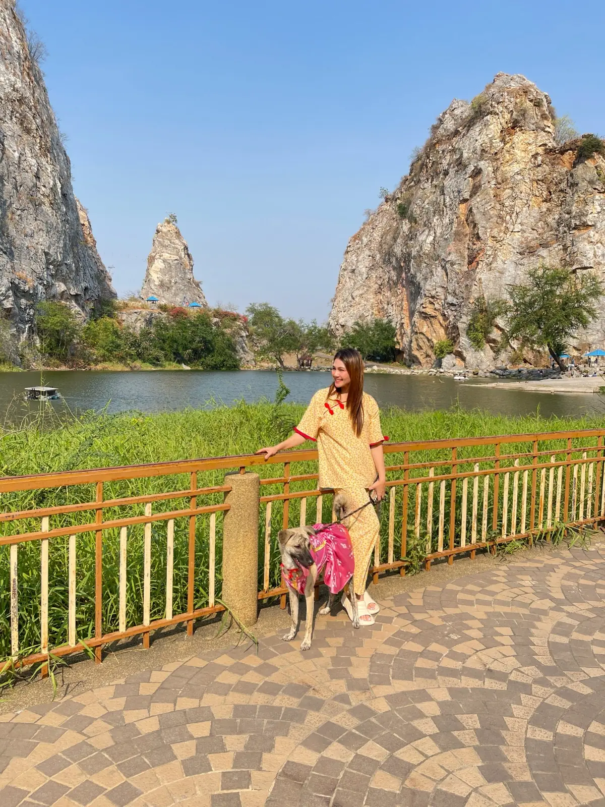 Phra Phuttha Chai Tham Ruesi Khao Ngu pets image 4