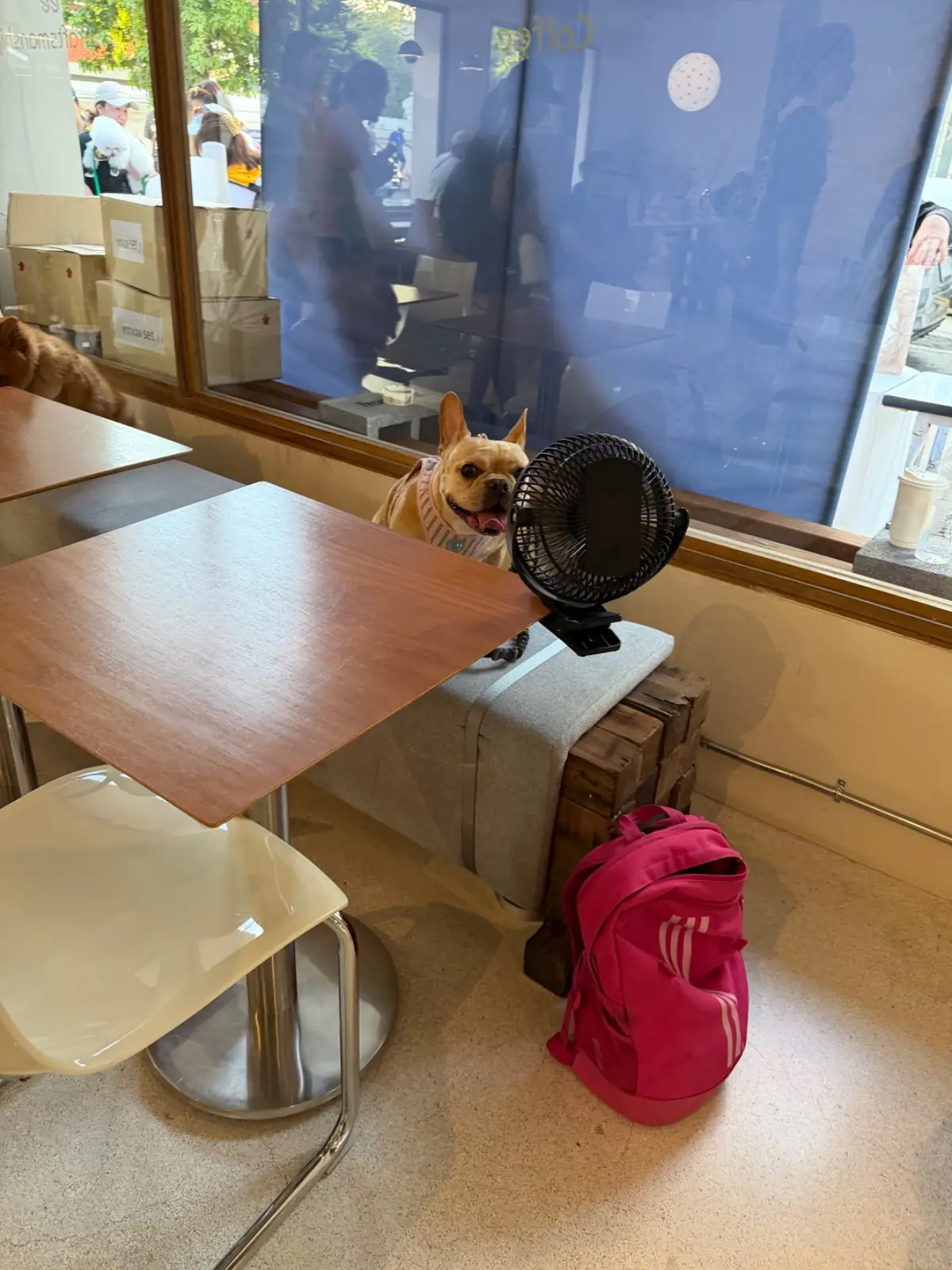 Fragment (formerly Annie Coffee Roaster) other image 1