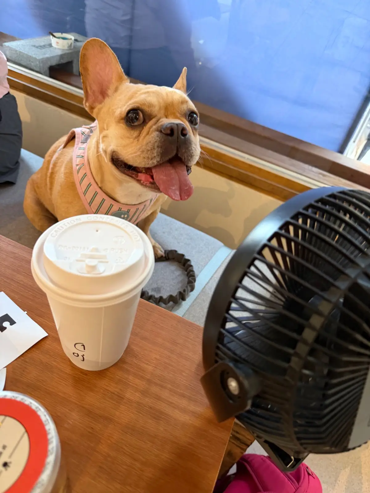 Fragment (formerly Annie Coffee Roaster) other image 3