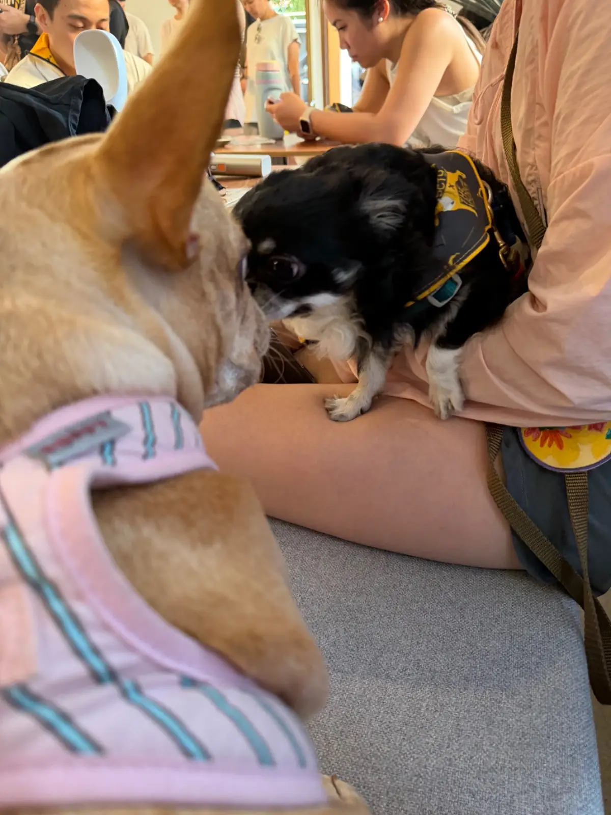 Fragment (formerly Annie Coffee Roaster) other image 5