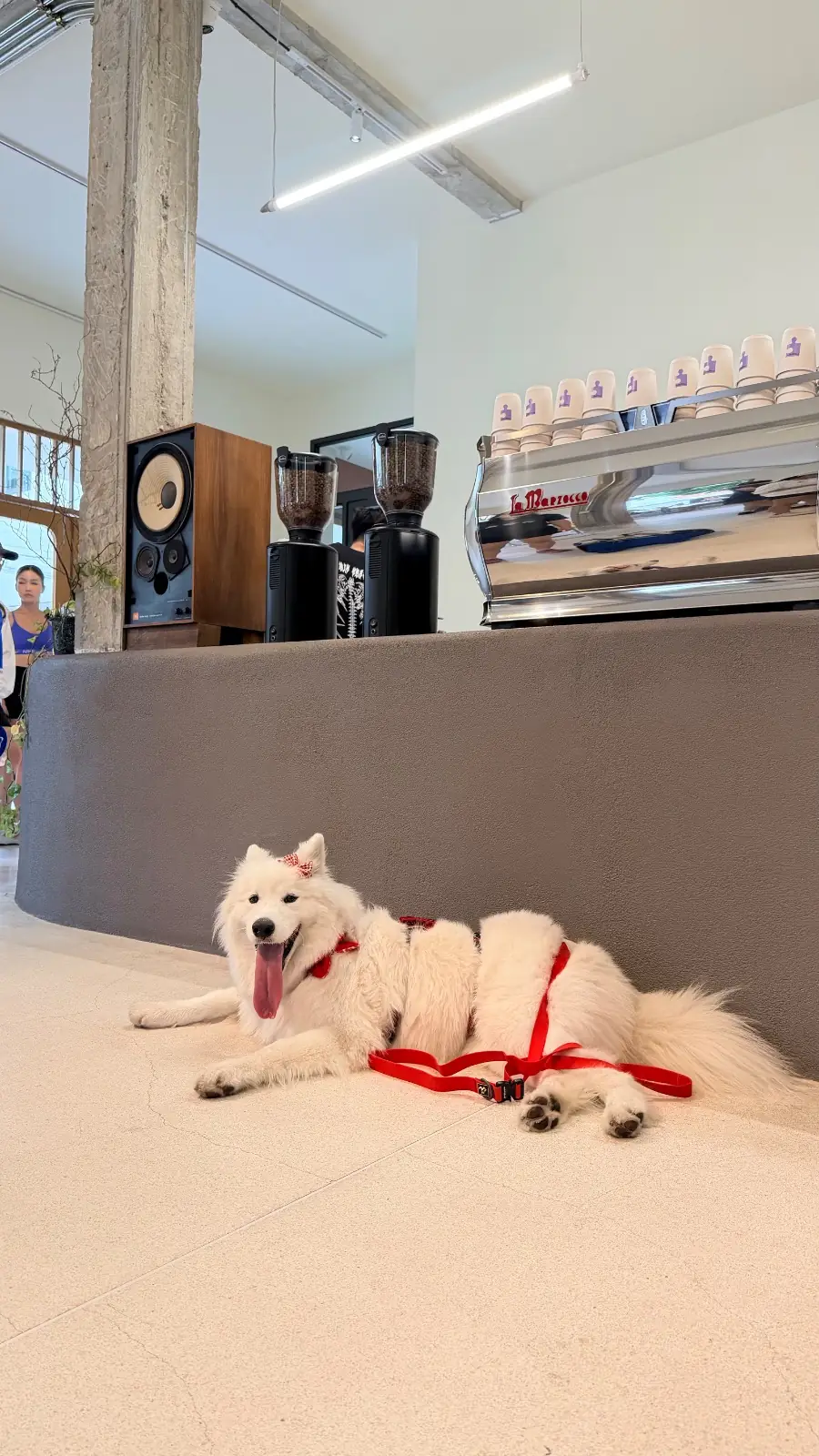 FRAGMENT COFFEE pets image 6