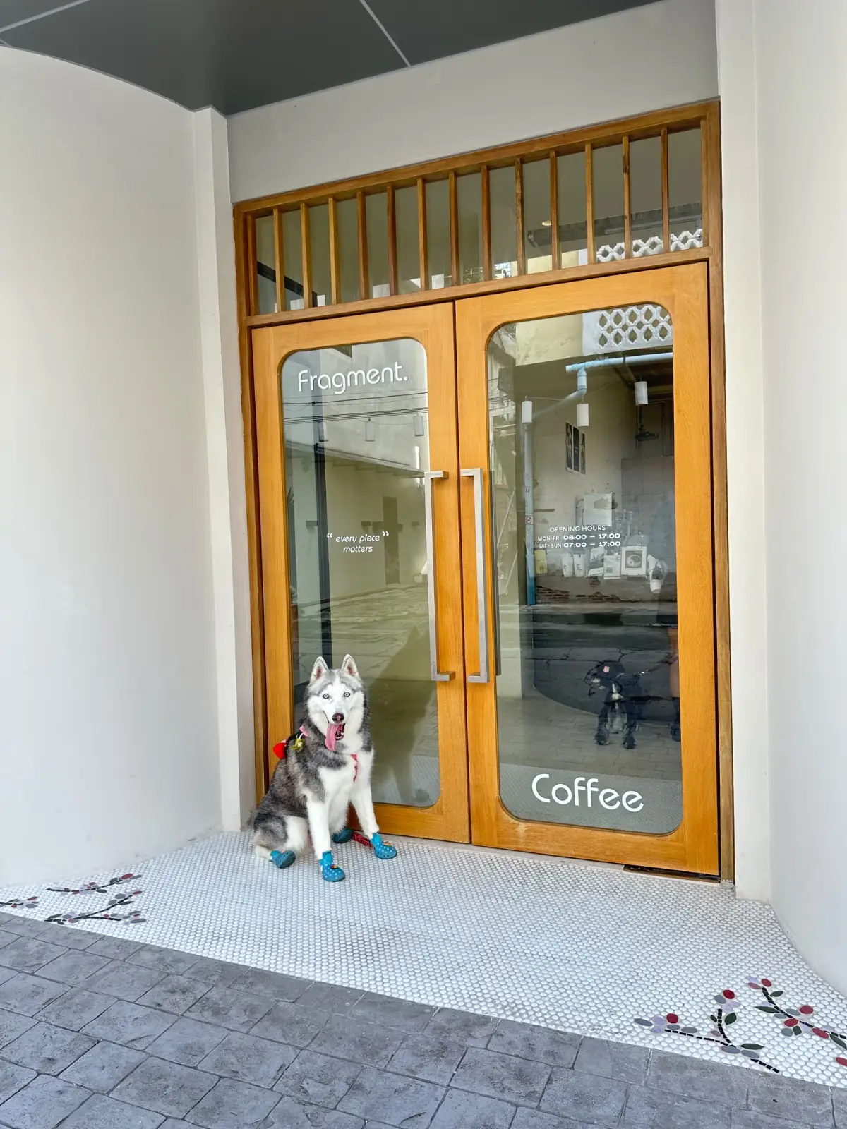 FRAGMENT COFFEE pets image 7