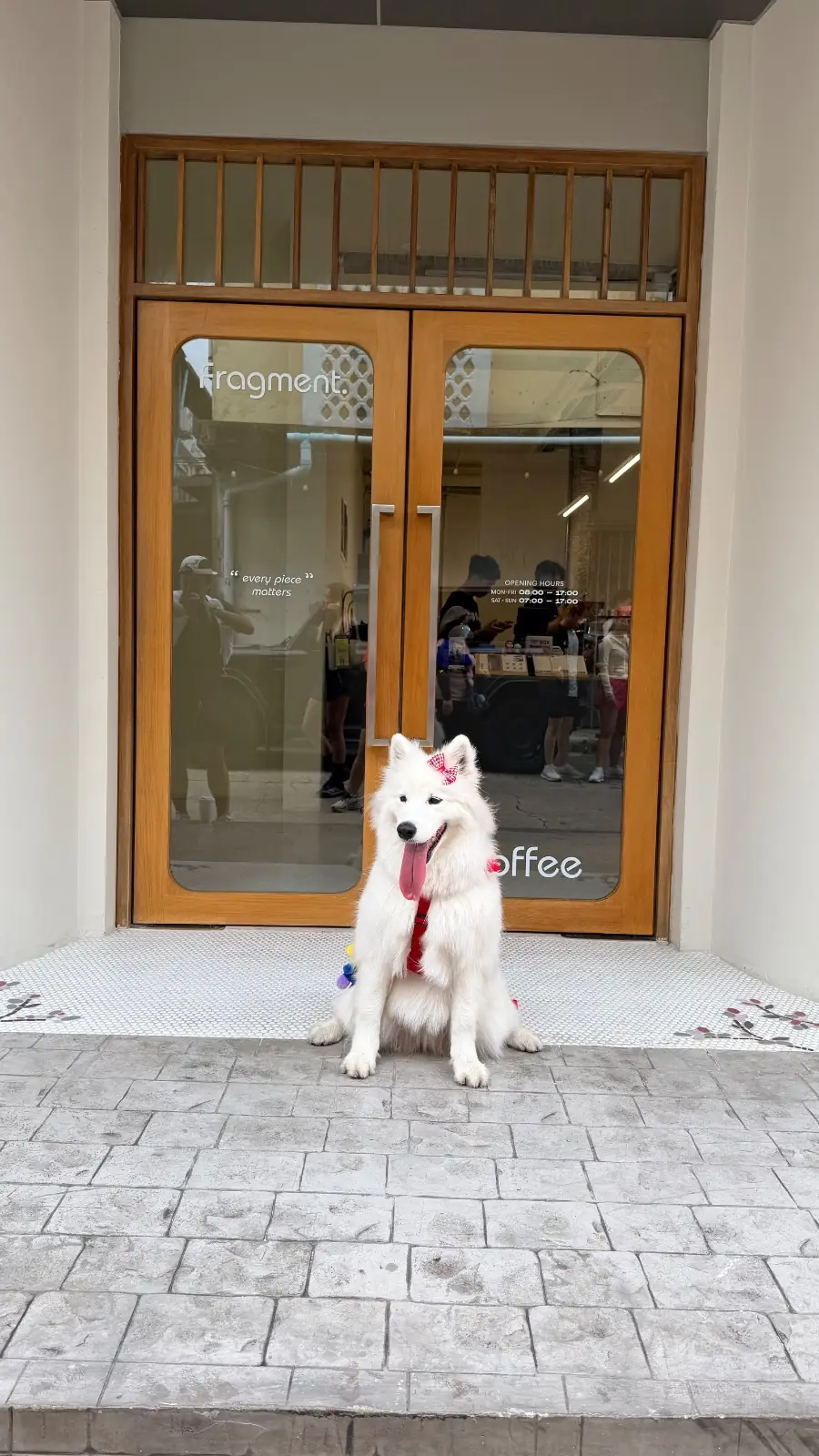 FRAGMENT COFFEE pets image 4