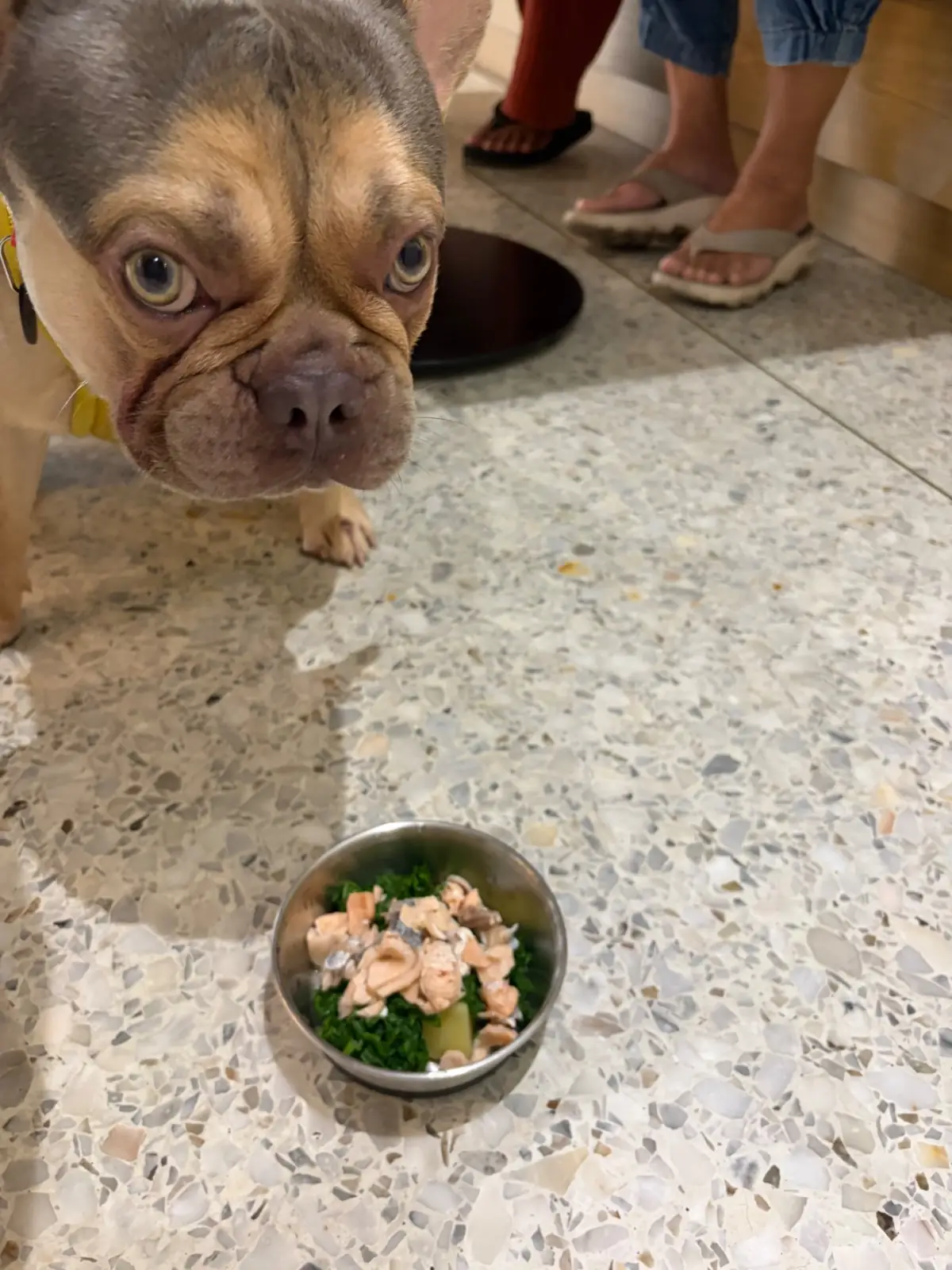 Matti's - Muang Thong Thani pets image 2