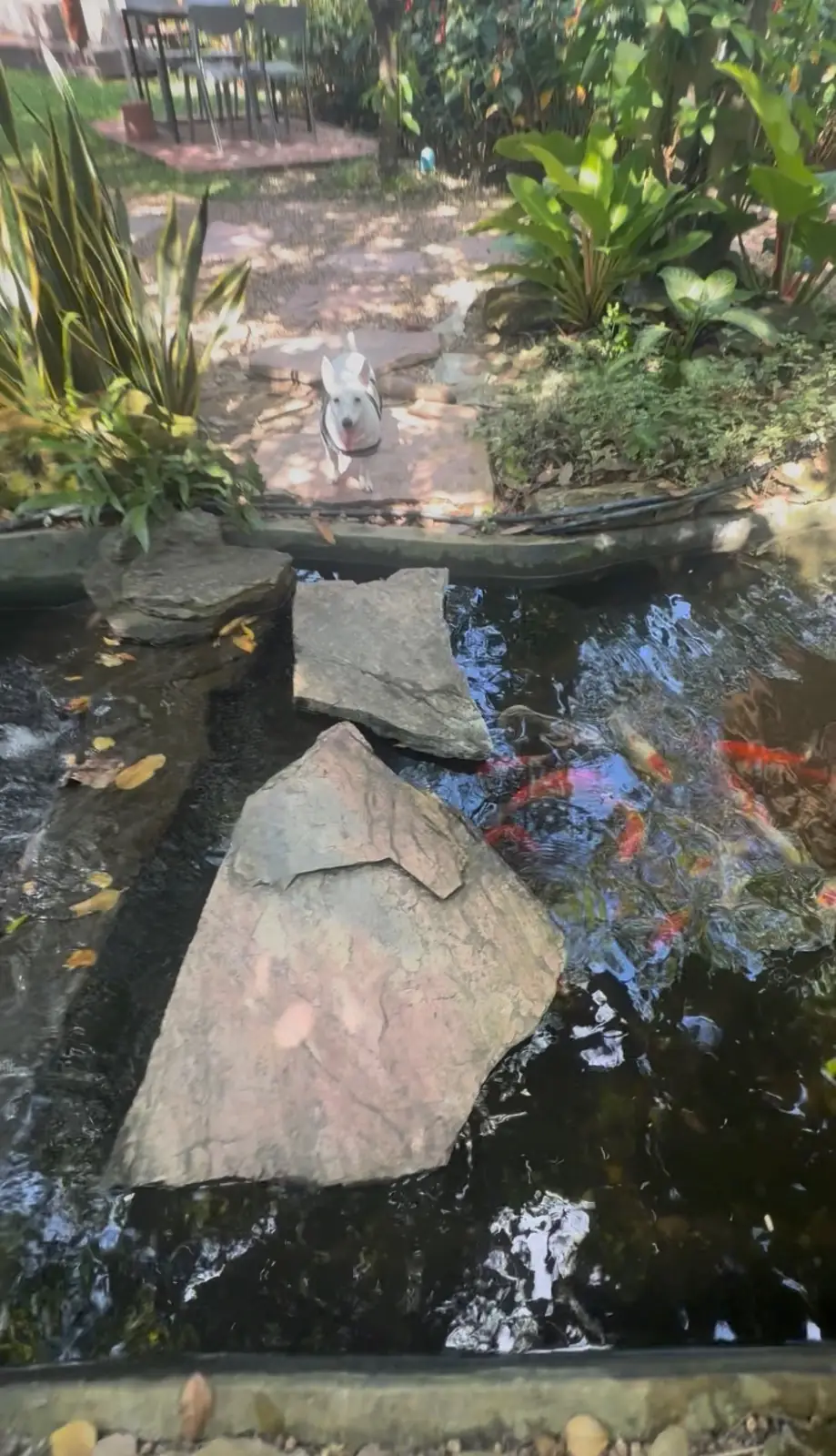 NAN cafe & gallery other image 1