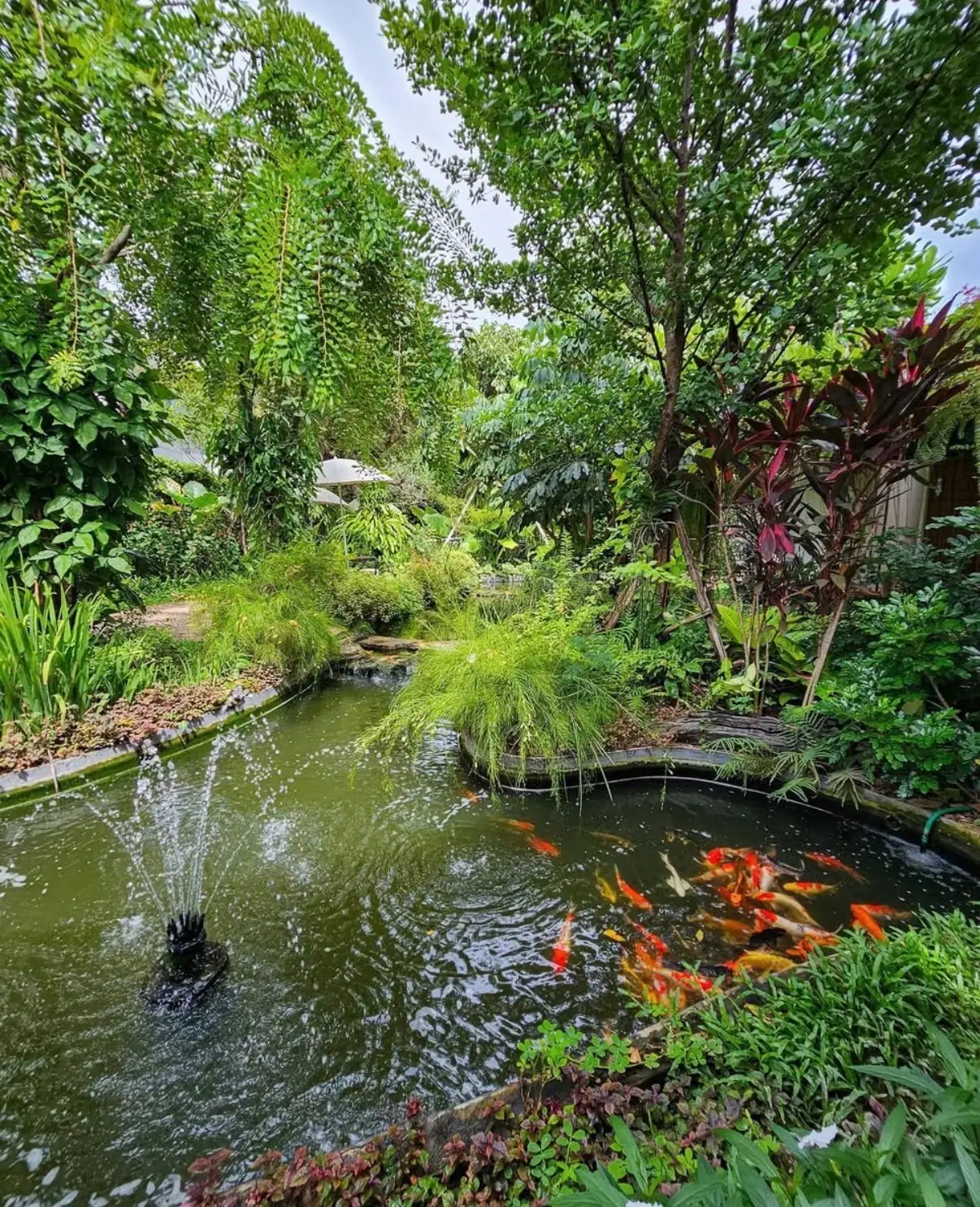 NAN cafe & gallery other image 4