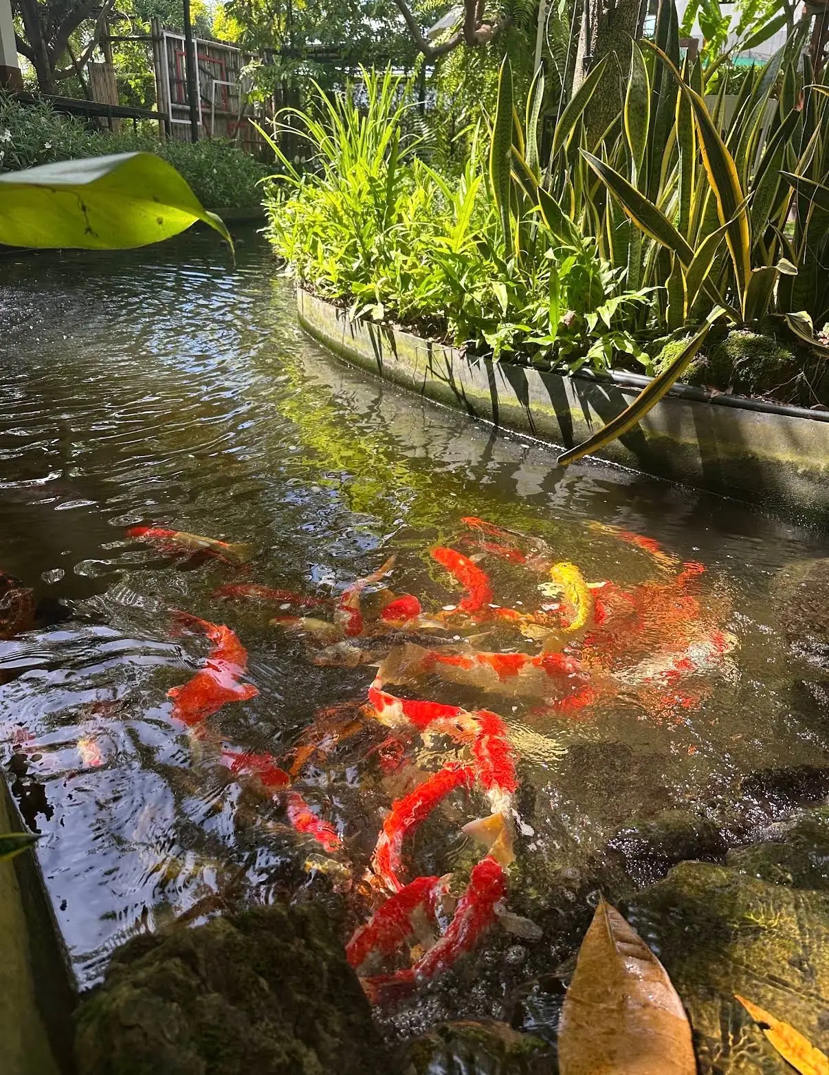 NAN cafe & gallery other image 3