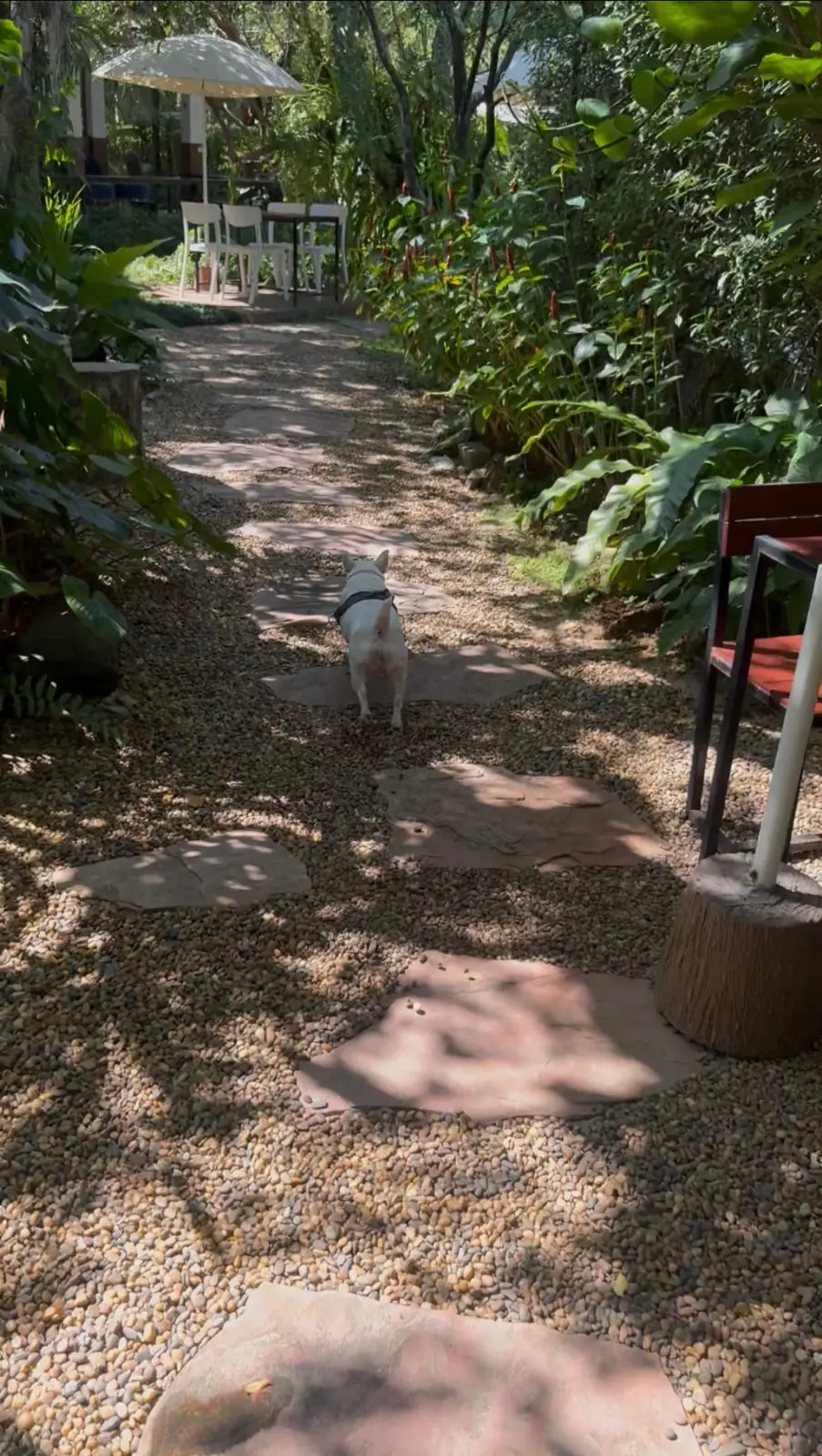 NAN cafe & gallery other image 2