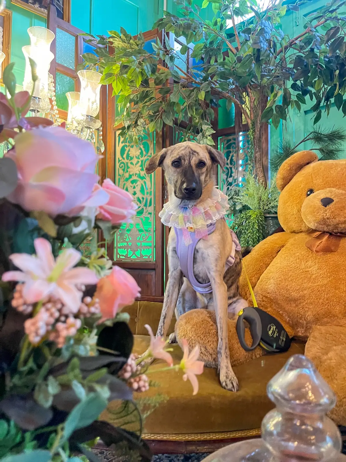 บ้านฝรั่งคู่ hero image 2