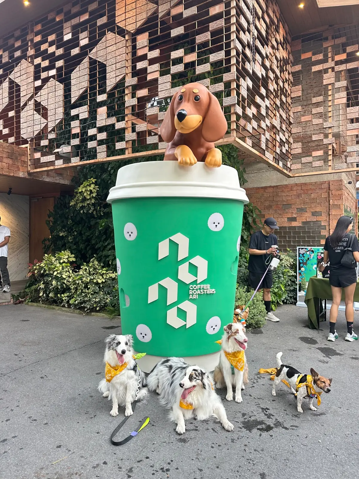 นานา คอฟฟี่ โรสเตอร์ pets image 6
