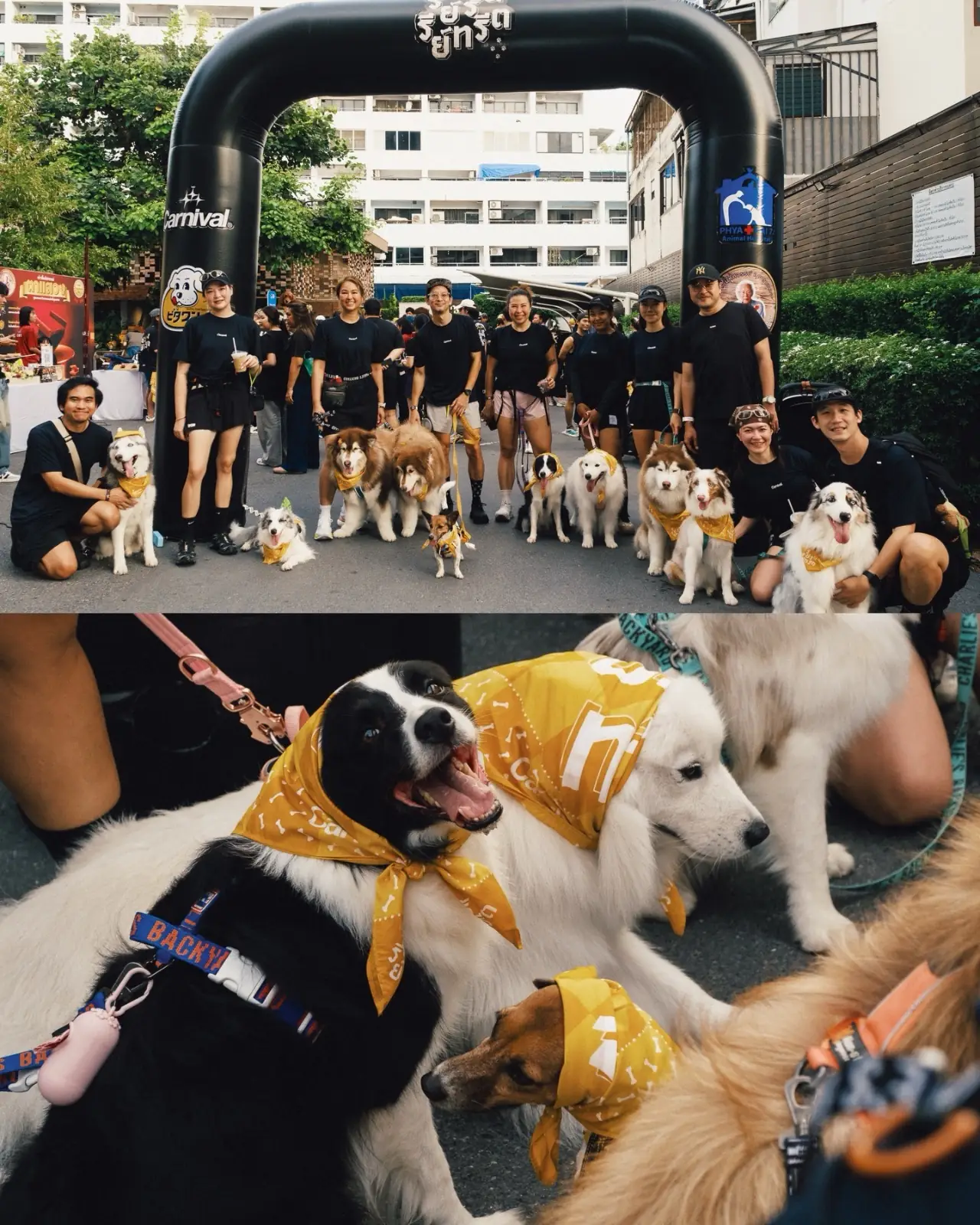 นานา คอฟฟี่ โรสเตอร์ pets image 4