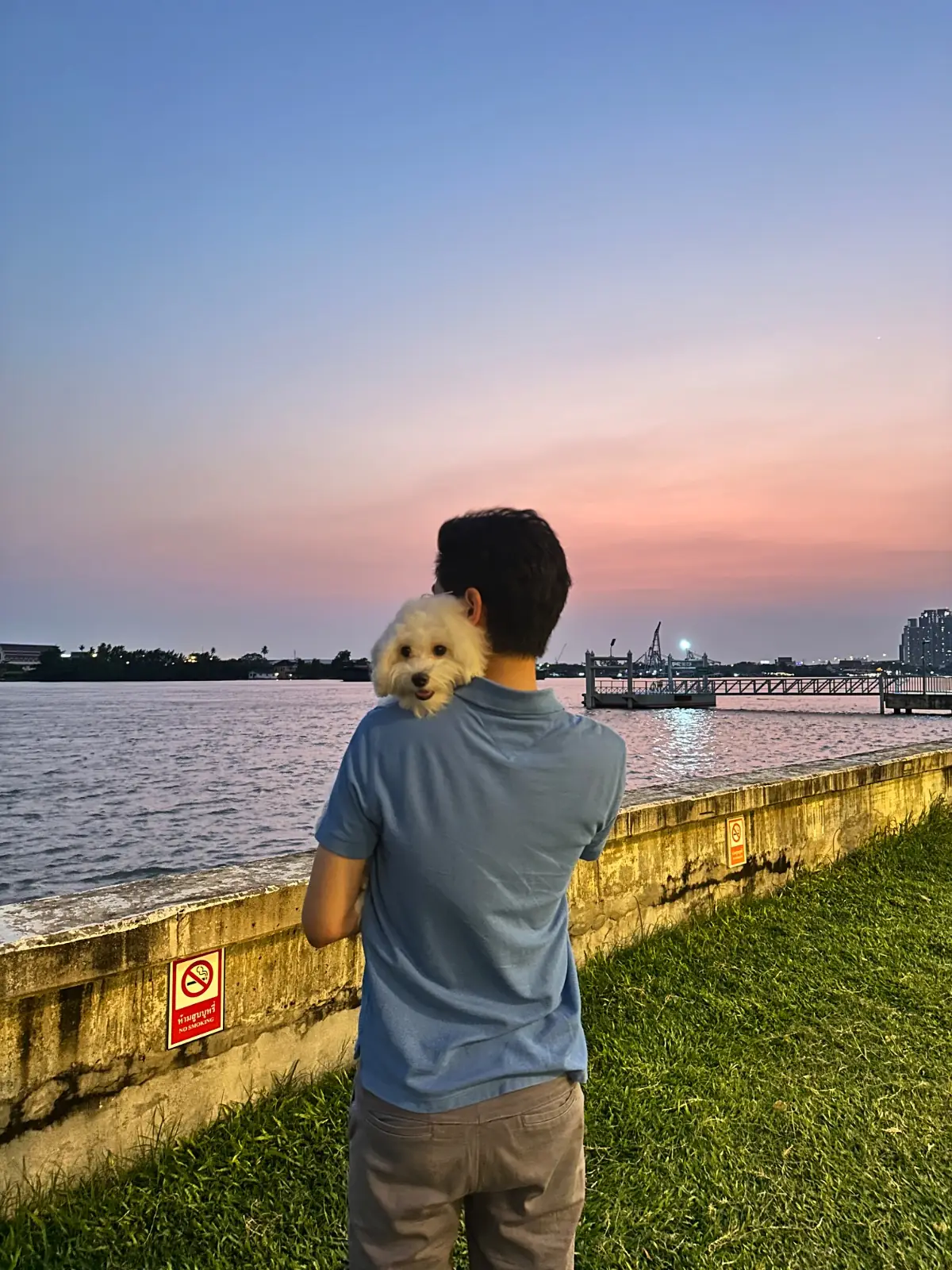 อำแดงไต้ฝุ่น บายเดอะริเวอร์ pets image 1