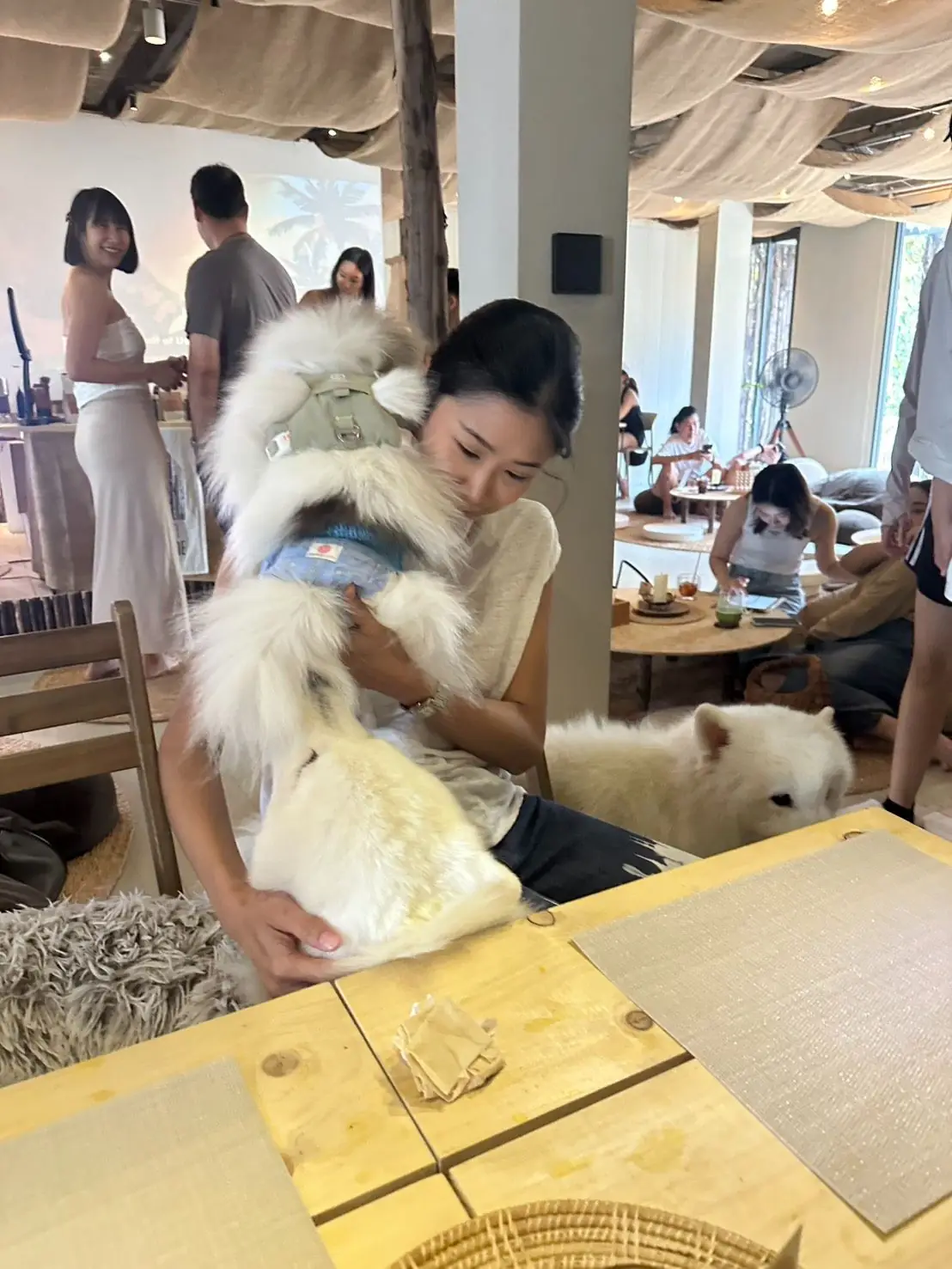 Baan Biome other image 1