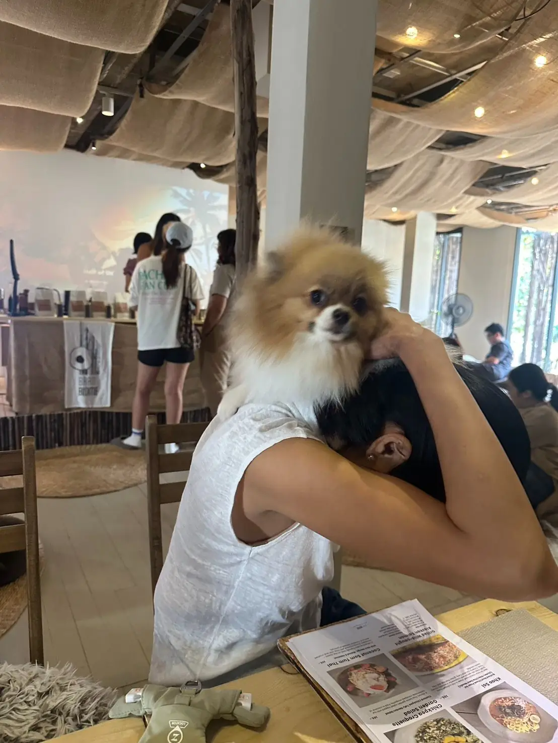 Baan Biome other image 4