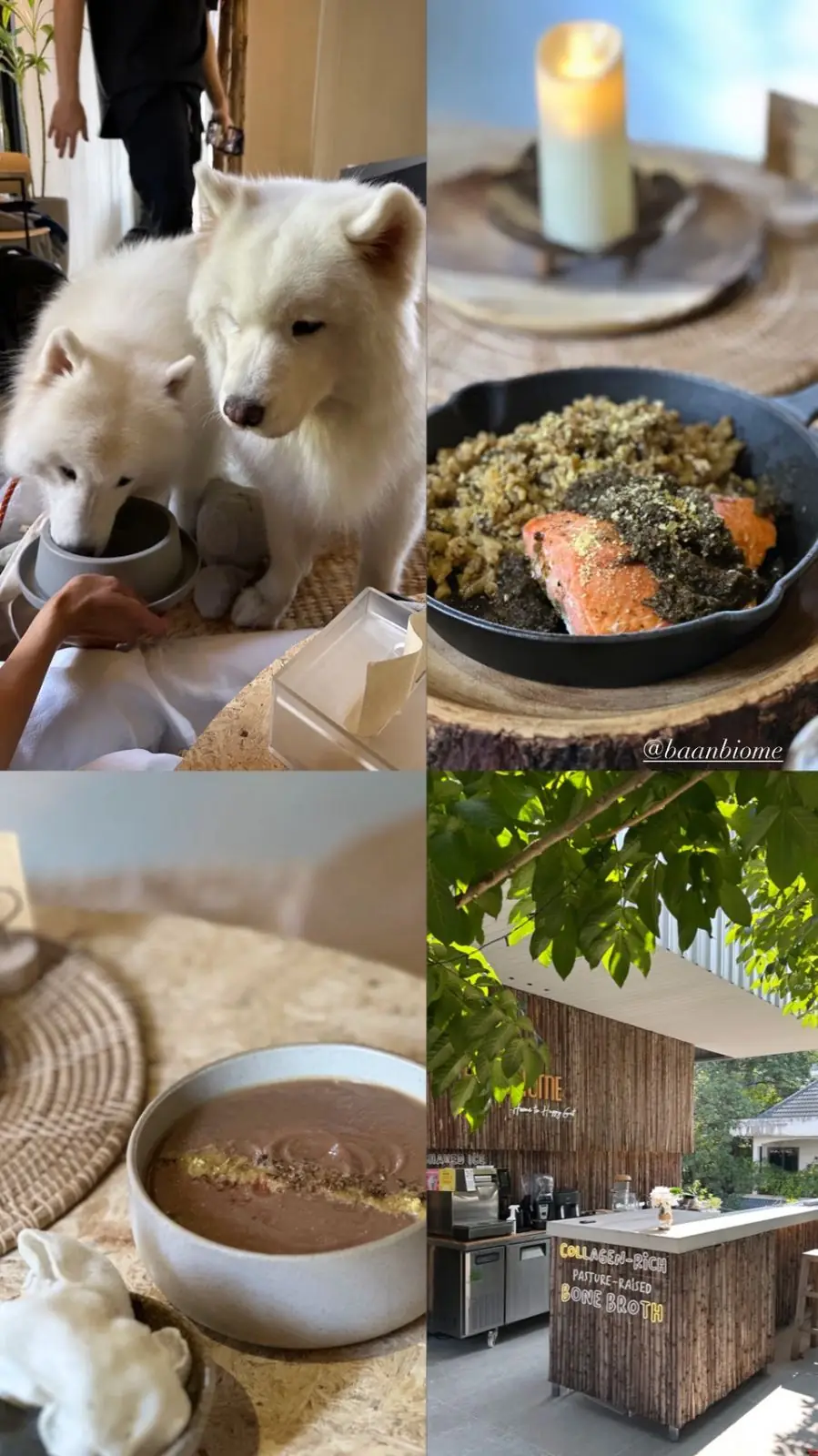 Baan Biome other image 2