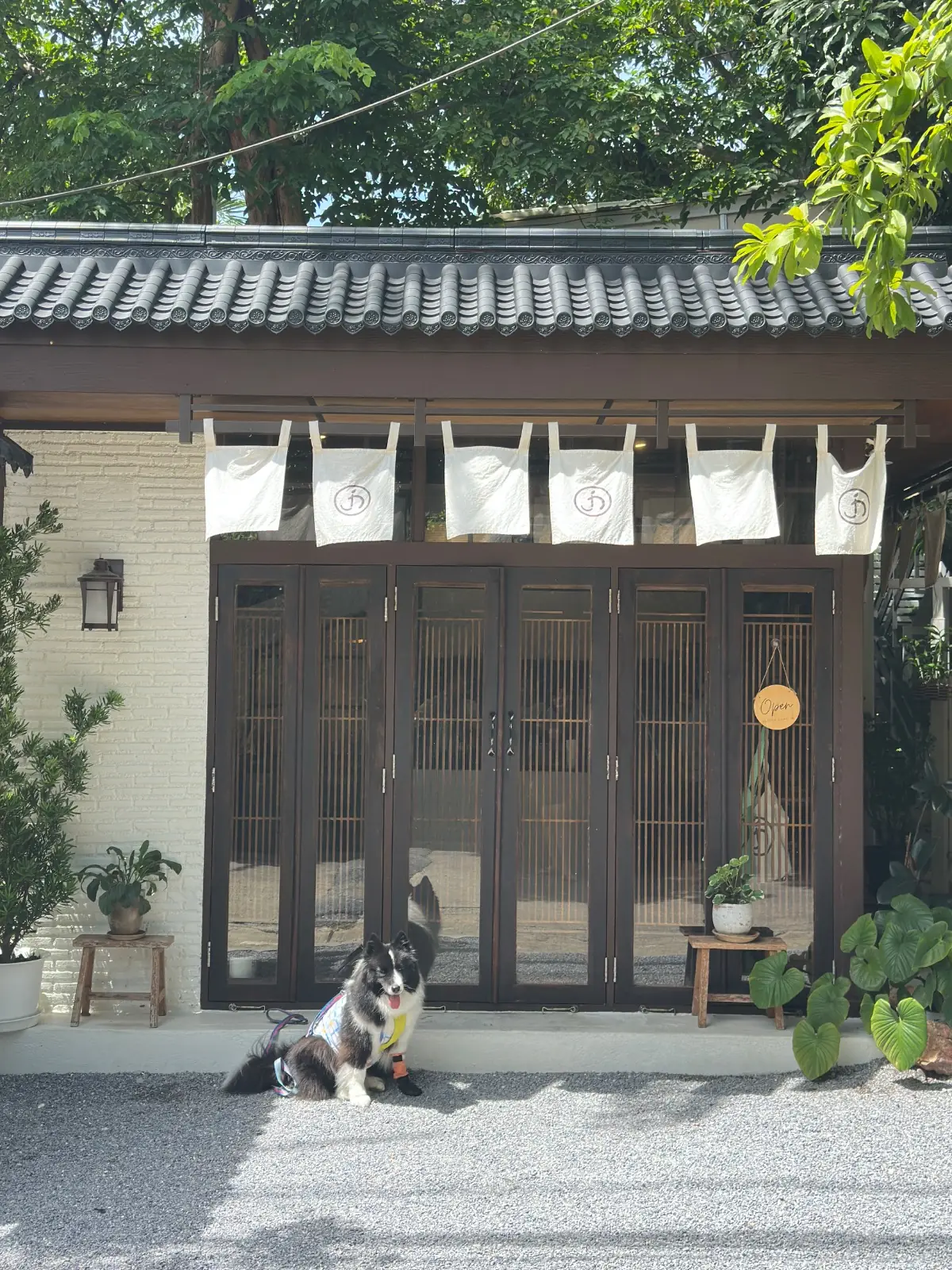 Jin Matcha overall image 6