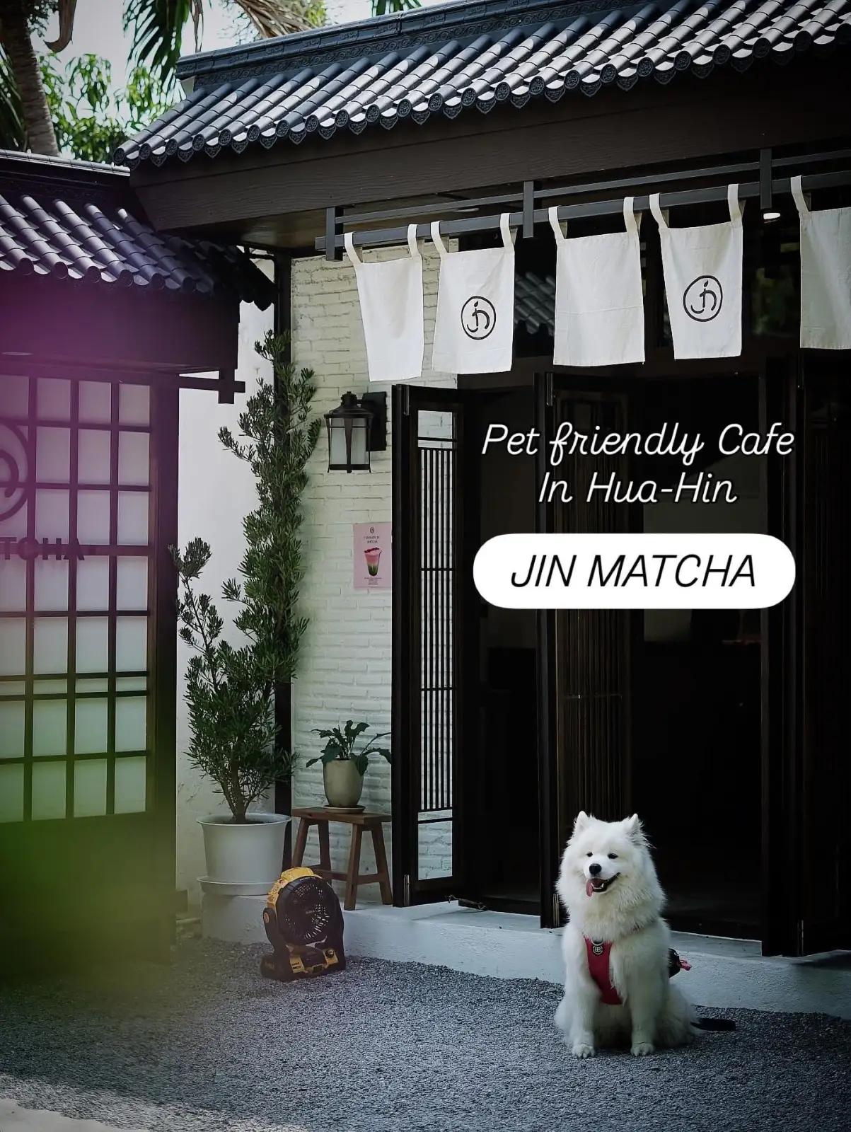 Jin Matcha overall image 2