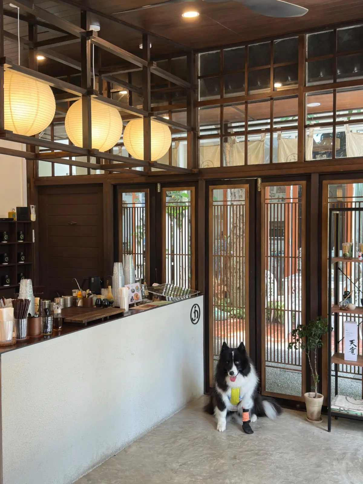 Jin Matcha overall image 4