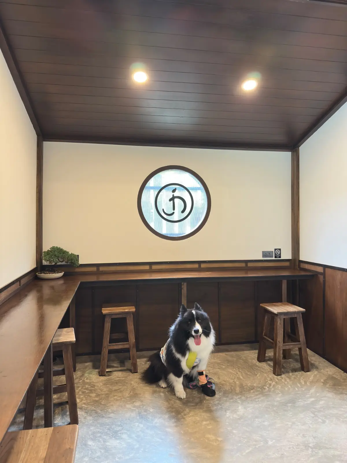 Jin Matcha overall image 5