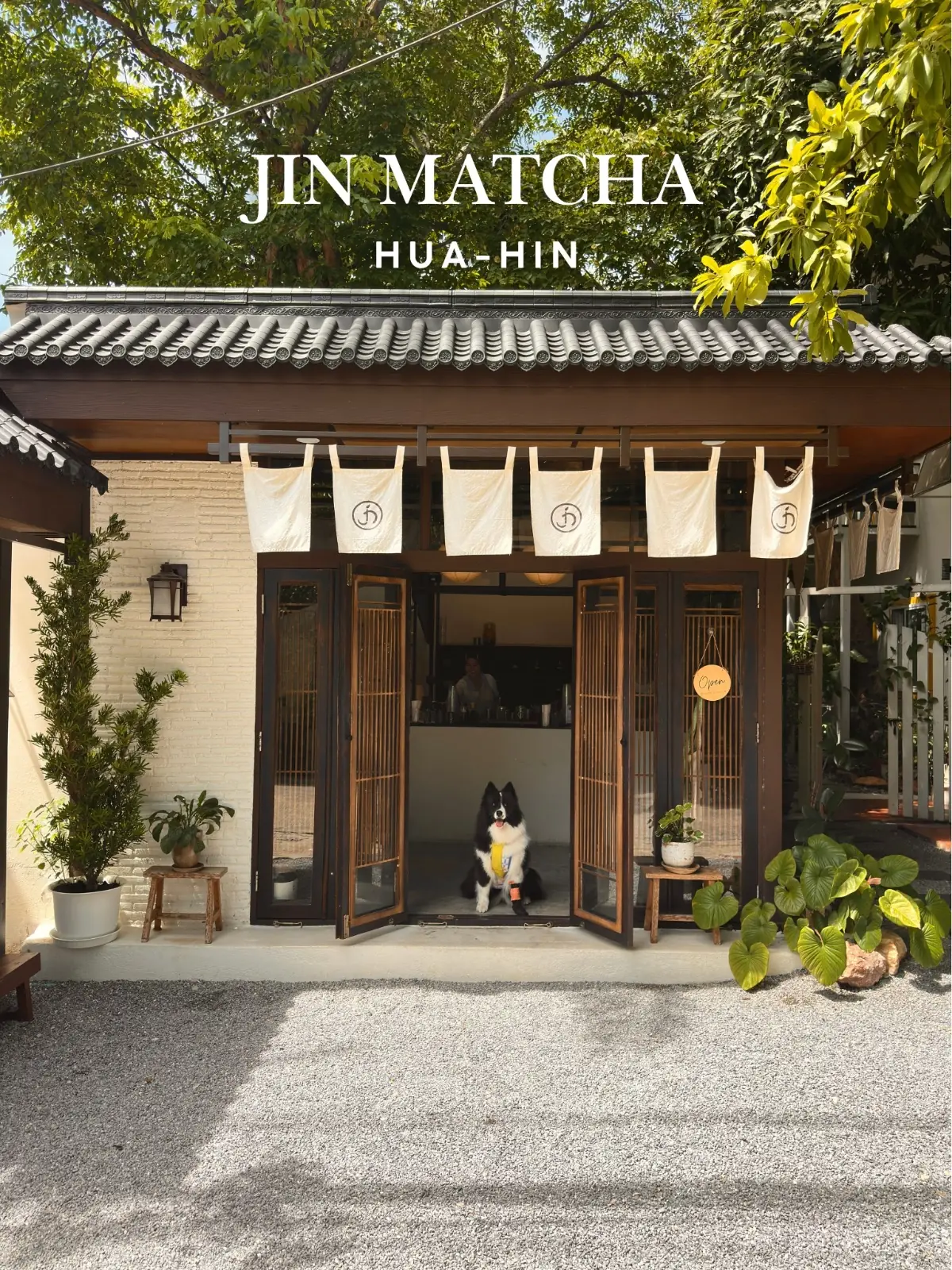 Jin Matcha overall image 3