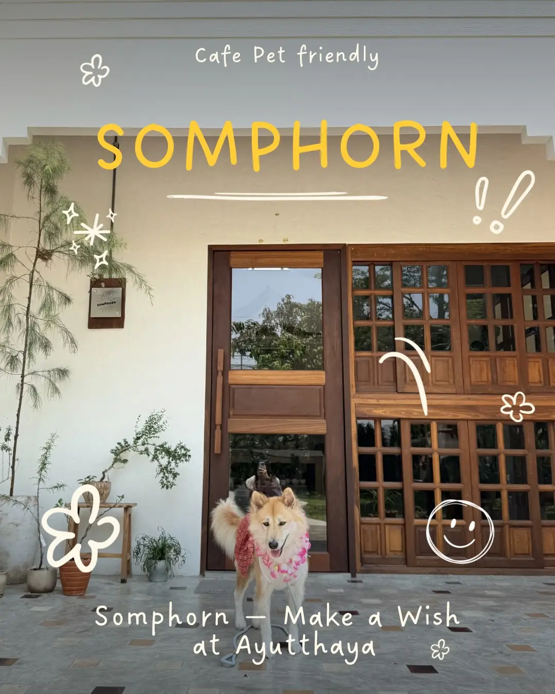Somphorn (สมพรปรารถนา) pets image 2