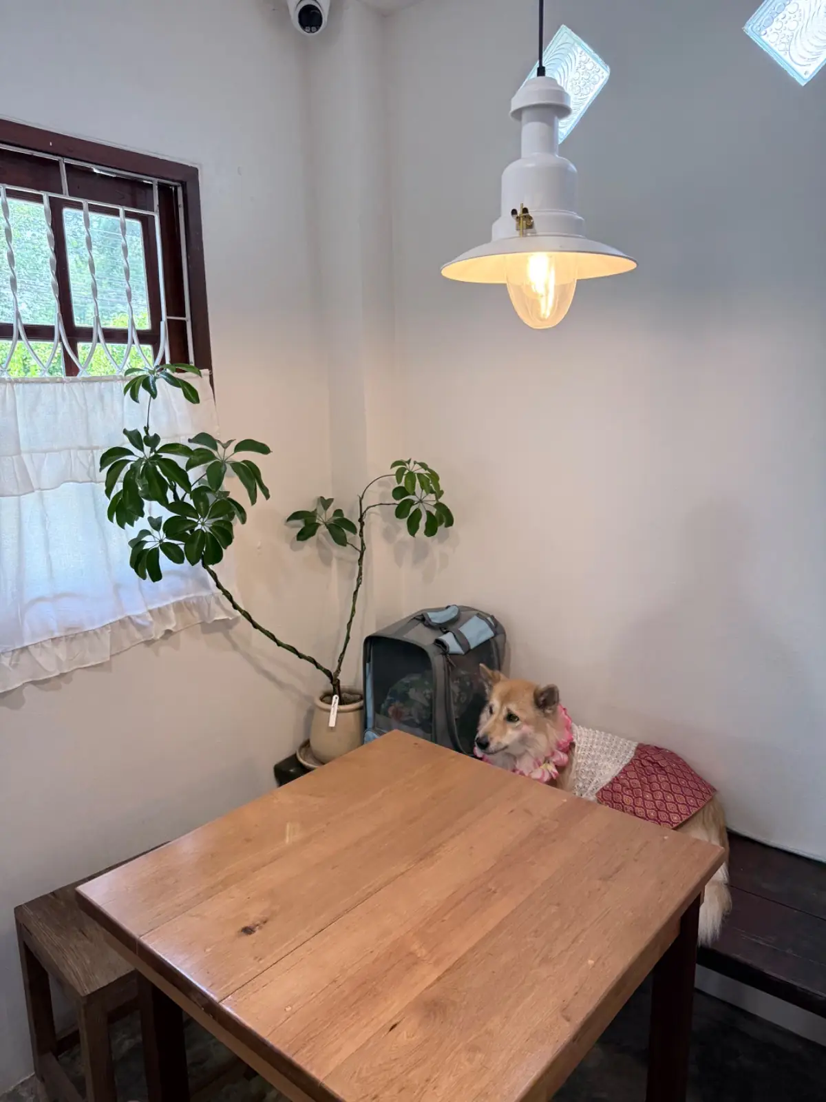 Somphorn (สมพรปรารถนา) overall image 1