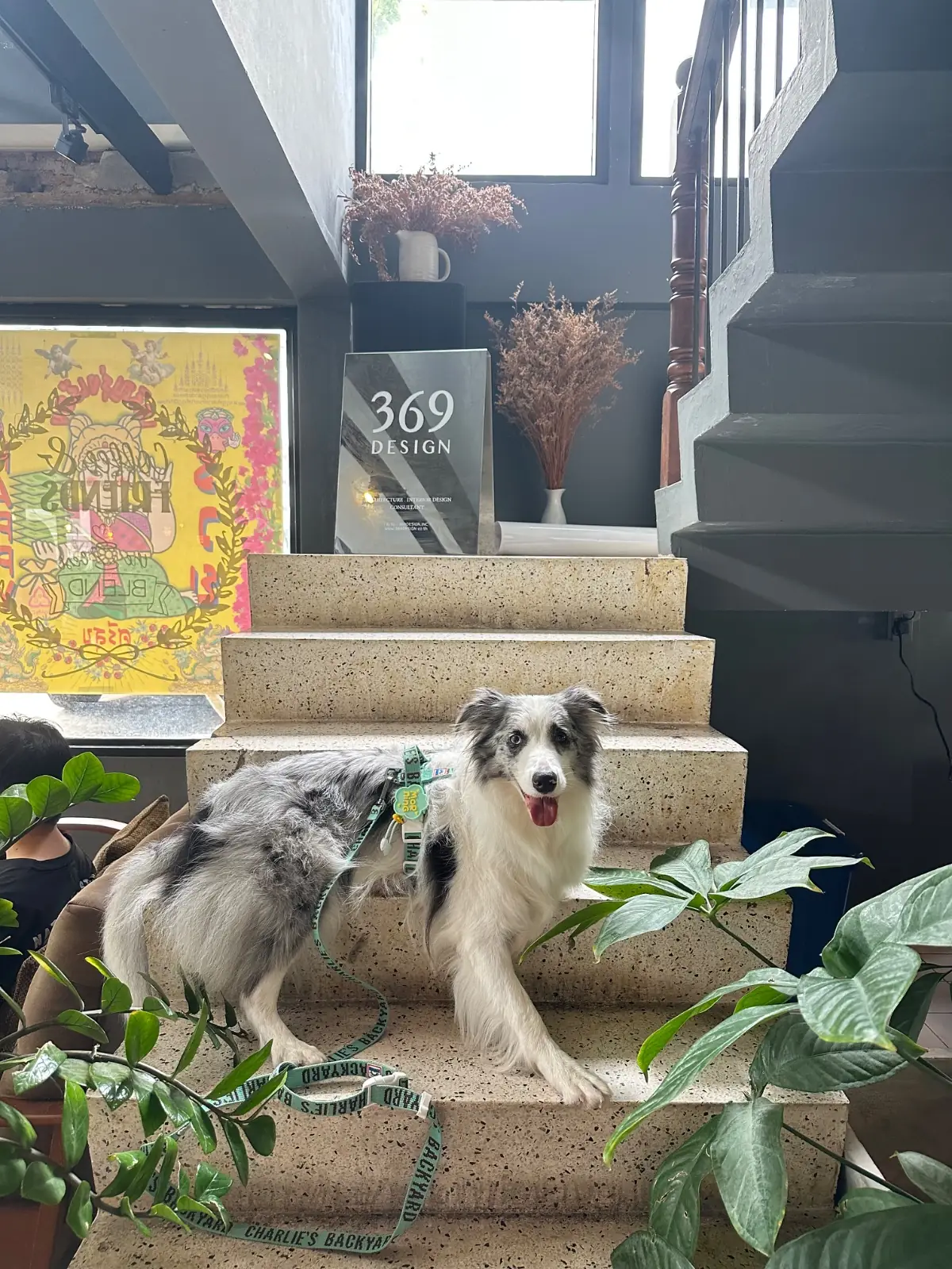 Bougain Cafe & Craft pets image 2