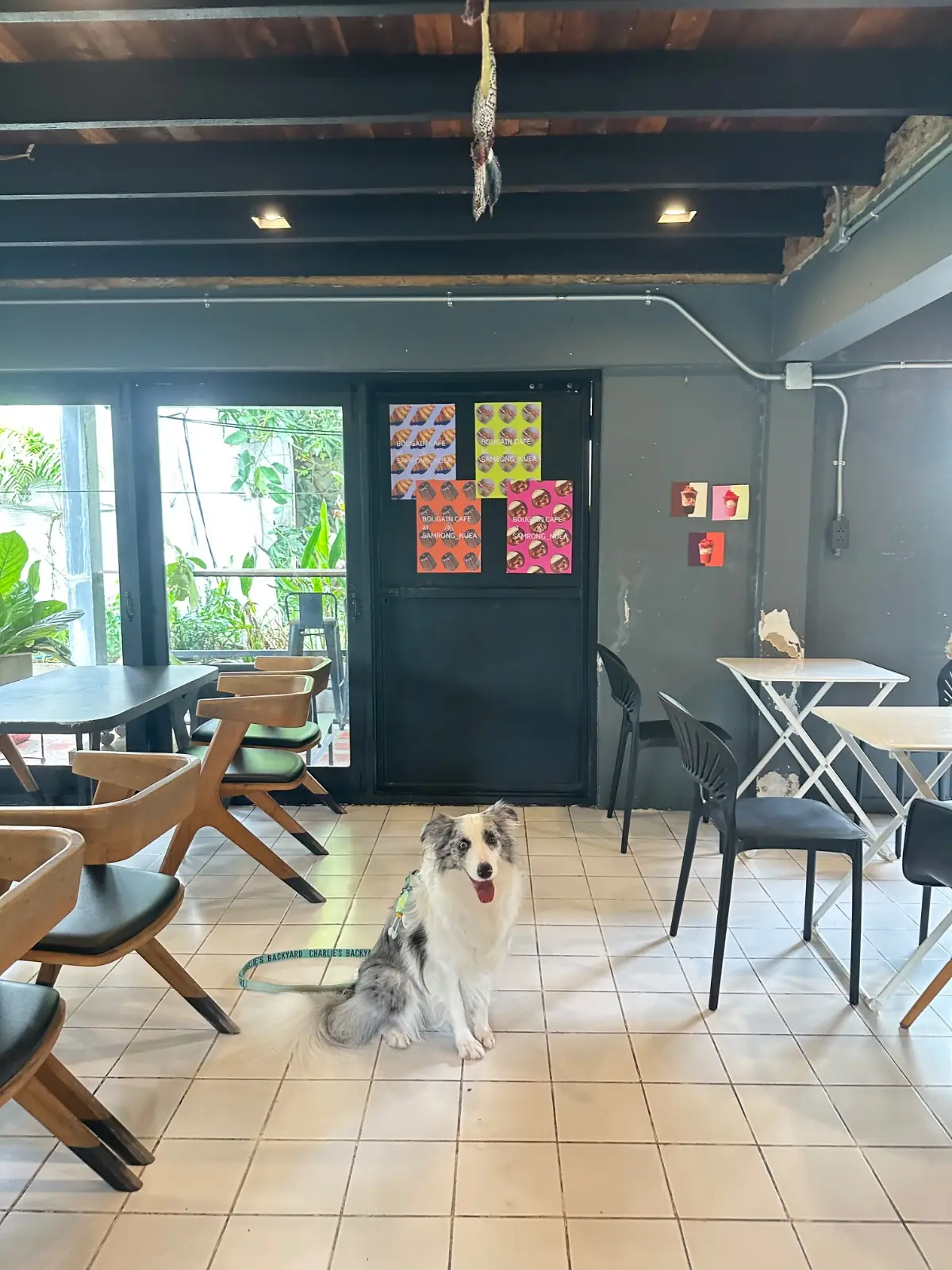 Bougain Cafe & Craft pets image 1