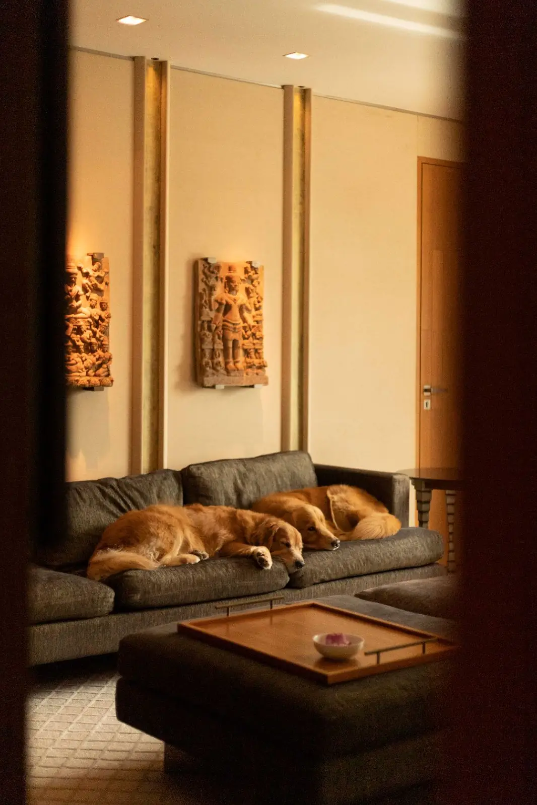 โรงแรมสุโขทัย กรุงเทพ pets image 1