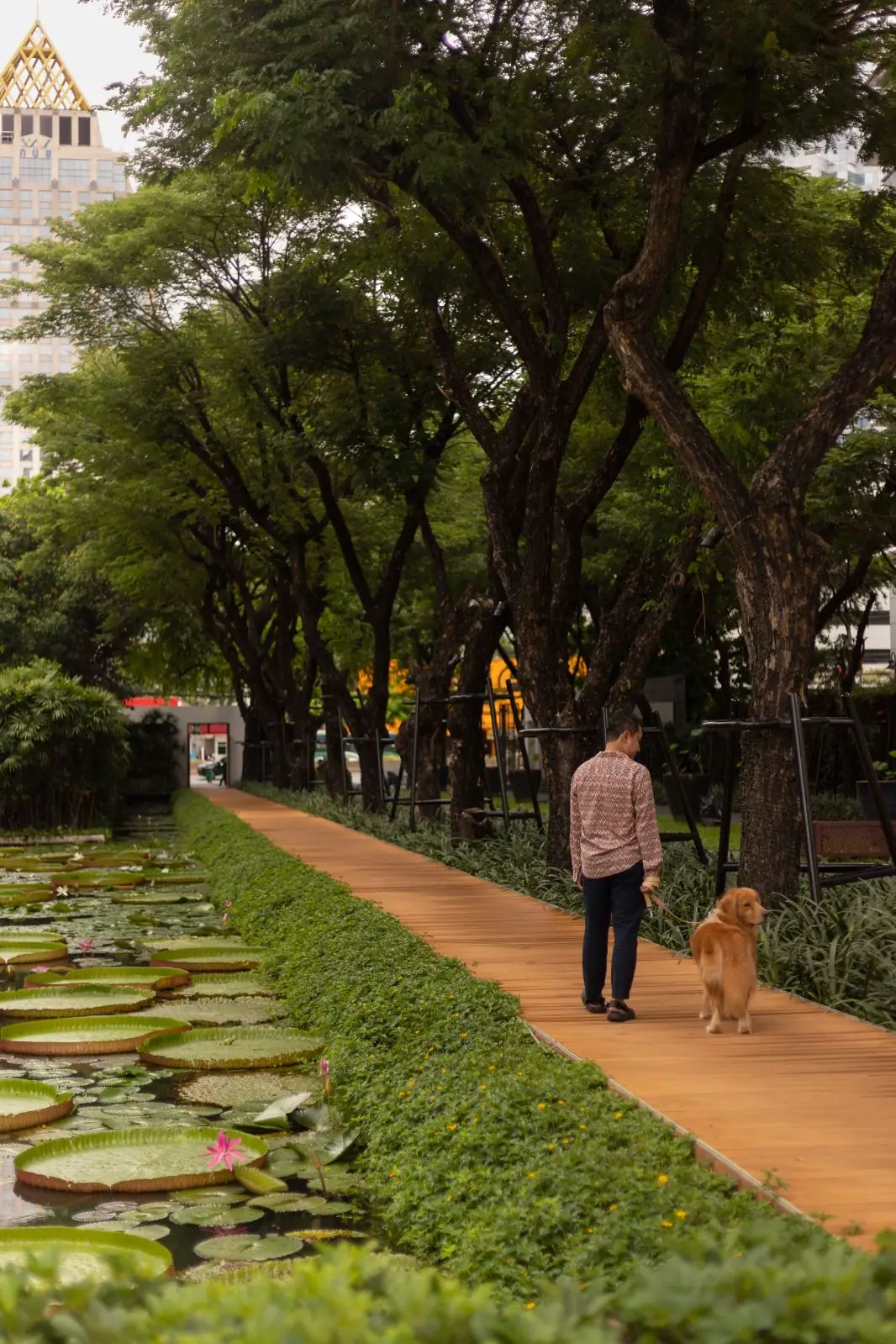 โรงแรมสุโขทัย กรุงเทพ overall image 2