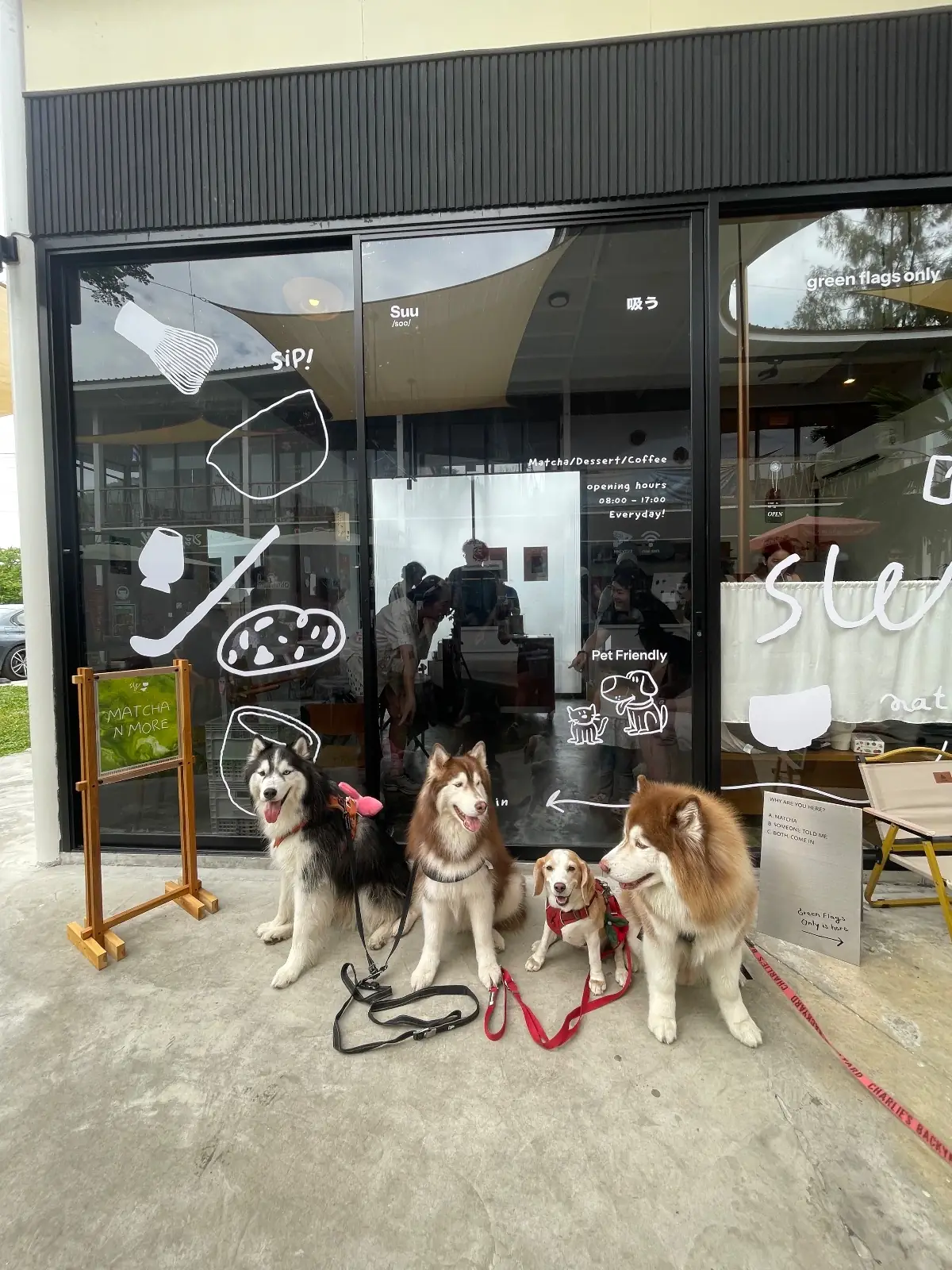 SUU Matcha n More pets image 5