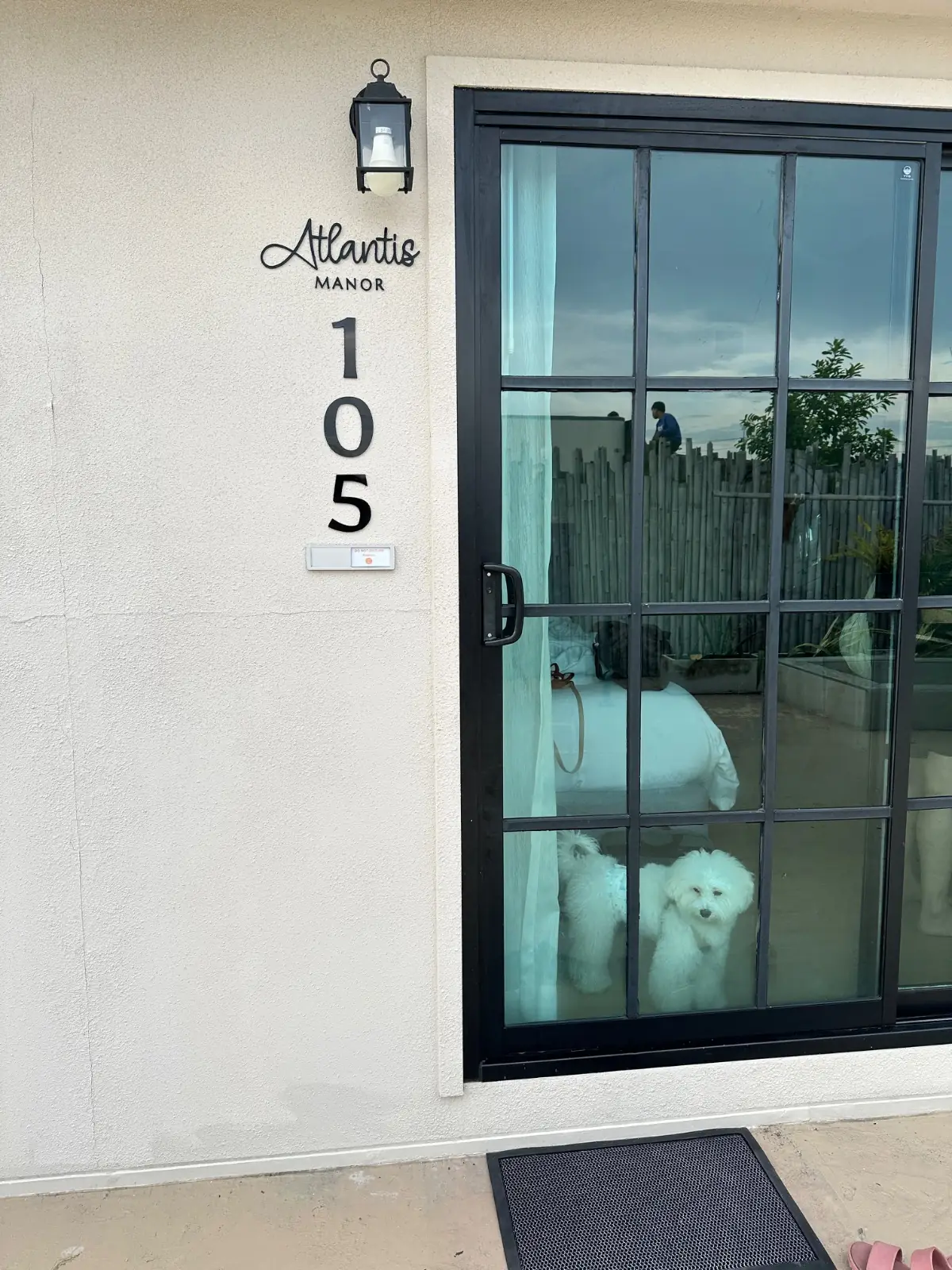 Atlantis Manor pets image 1