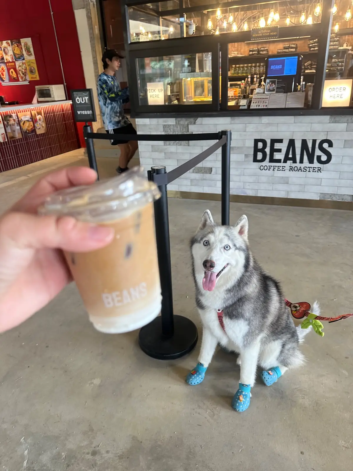 Beans Coffee Roaster - The Lake Club pets image 1