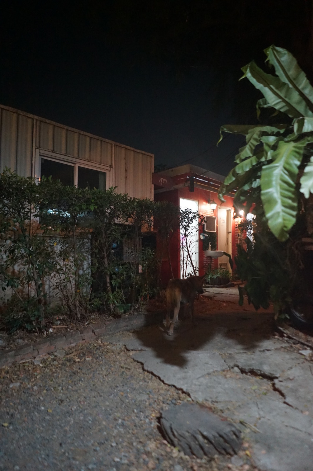 THE CAMP 78 ambiance image 7