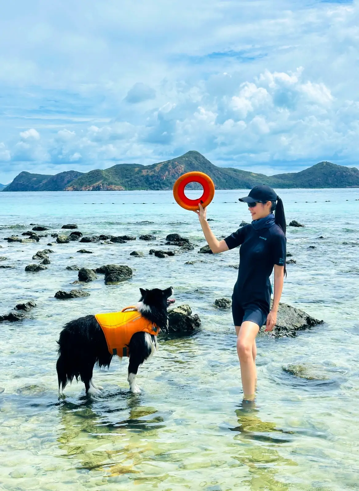 เกาะจวง pets image 1