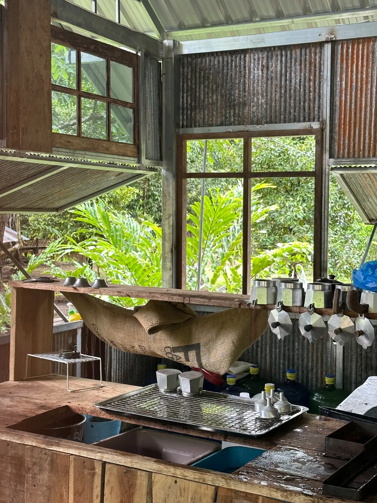 ร้านกาแฟช้างป่า ทองผาภูมิ overall image 2