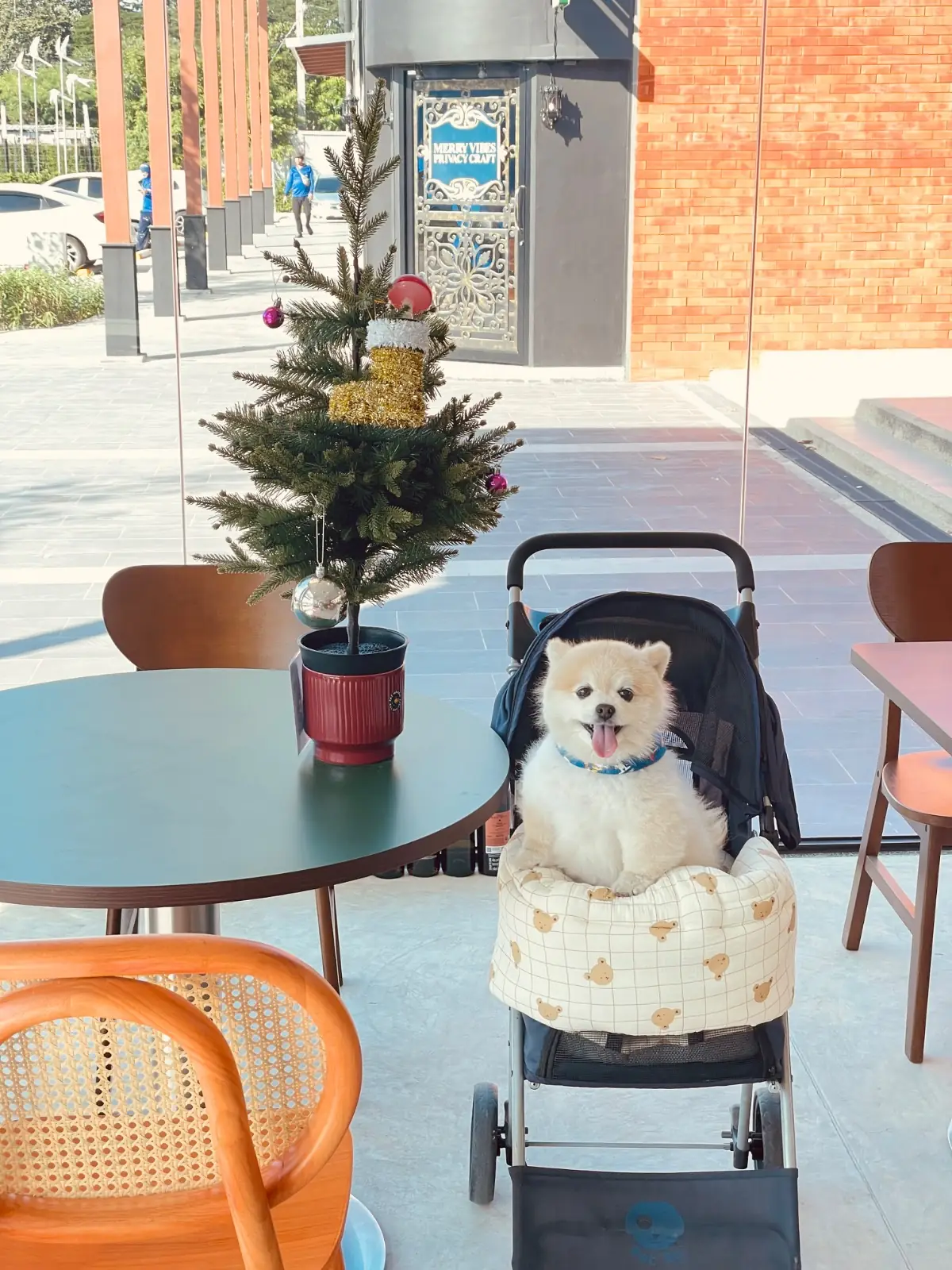 Fat Maison pets image 1