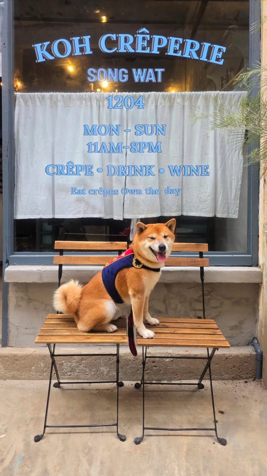 Koh Crêperie pets image 2
